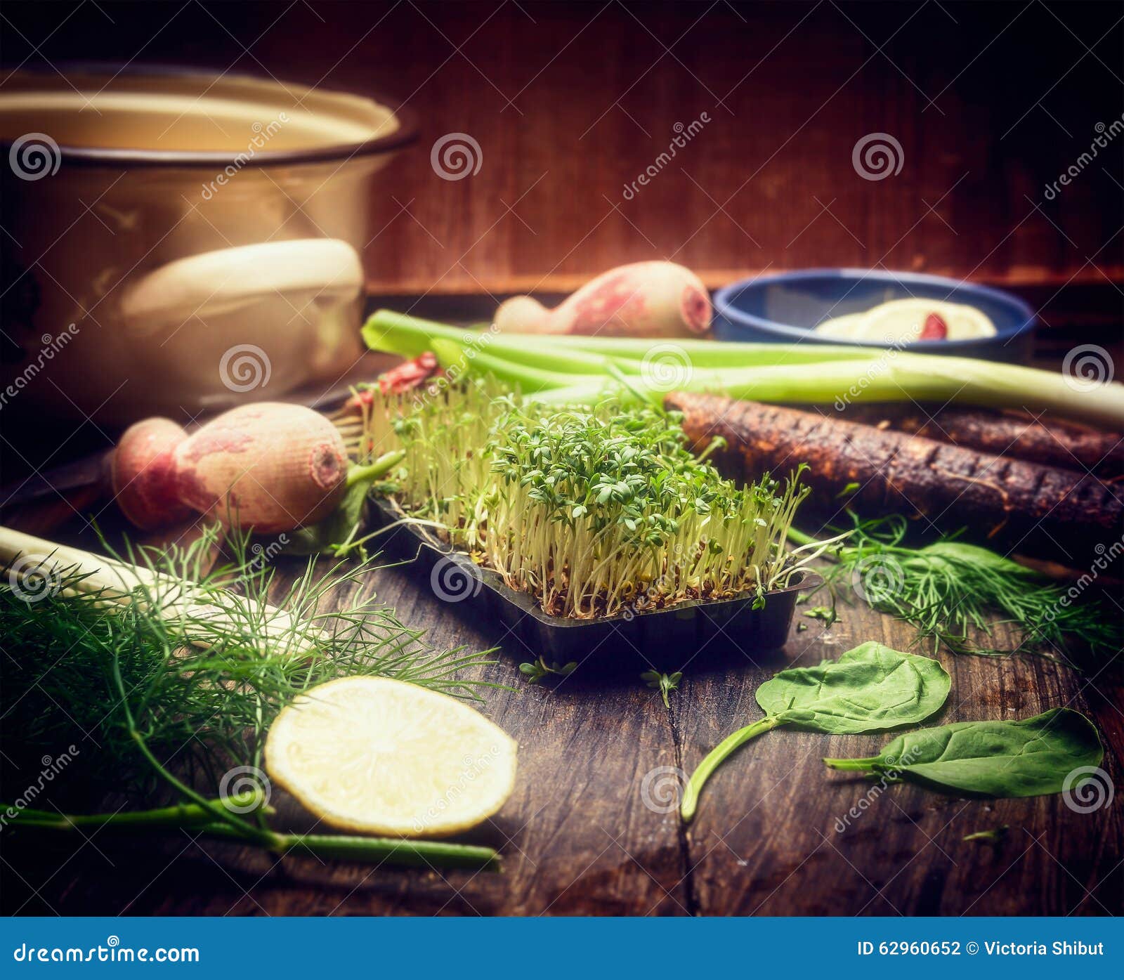 Fresh Sprouts on Kitchen Table with Cooking Tools Stock Photo Image