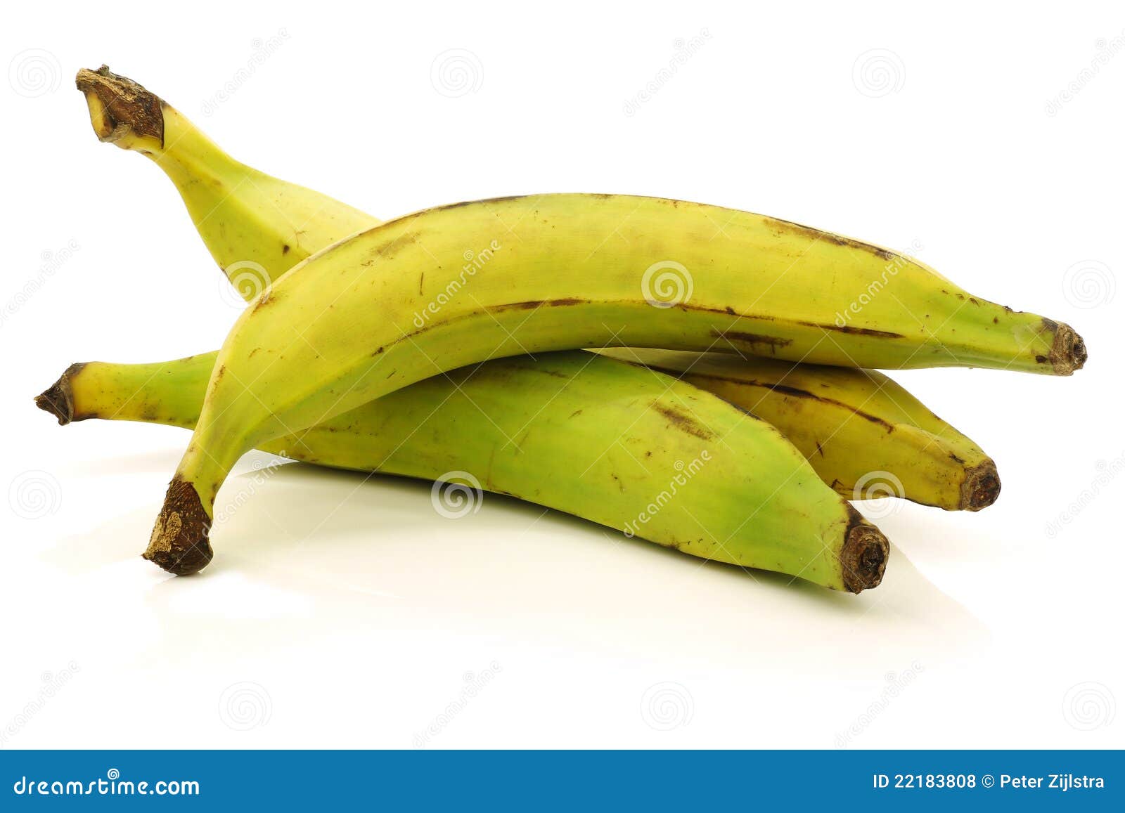 Fresh Still Unripe Plantain (baking) Bananas Stock Photo Image of