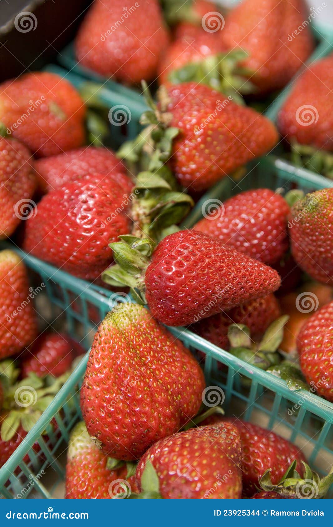 Fresh Strawberries in Plastic Baskets Stock Photo Image of delicious