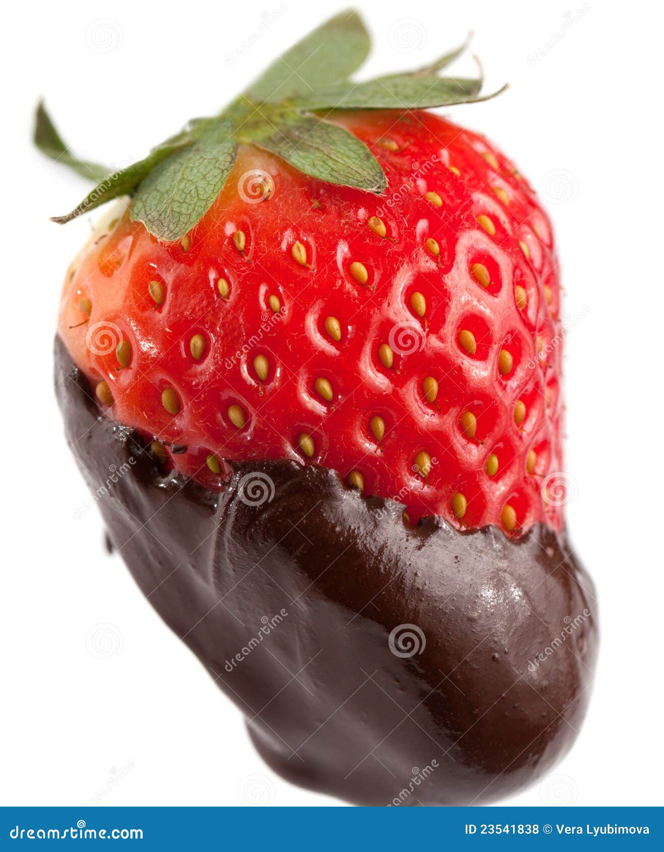 Fresh Strawberry with Melted Chocolate Stock Photo Image of nutrition