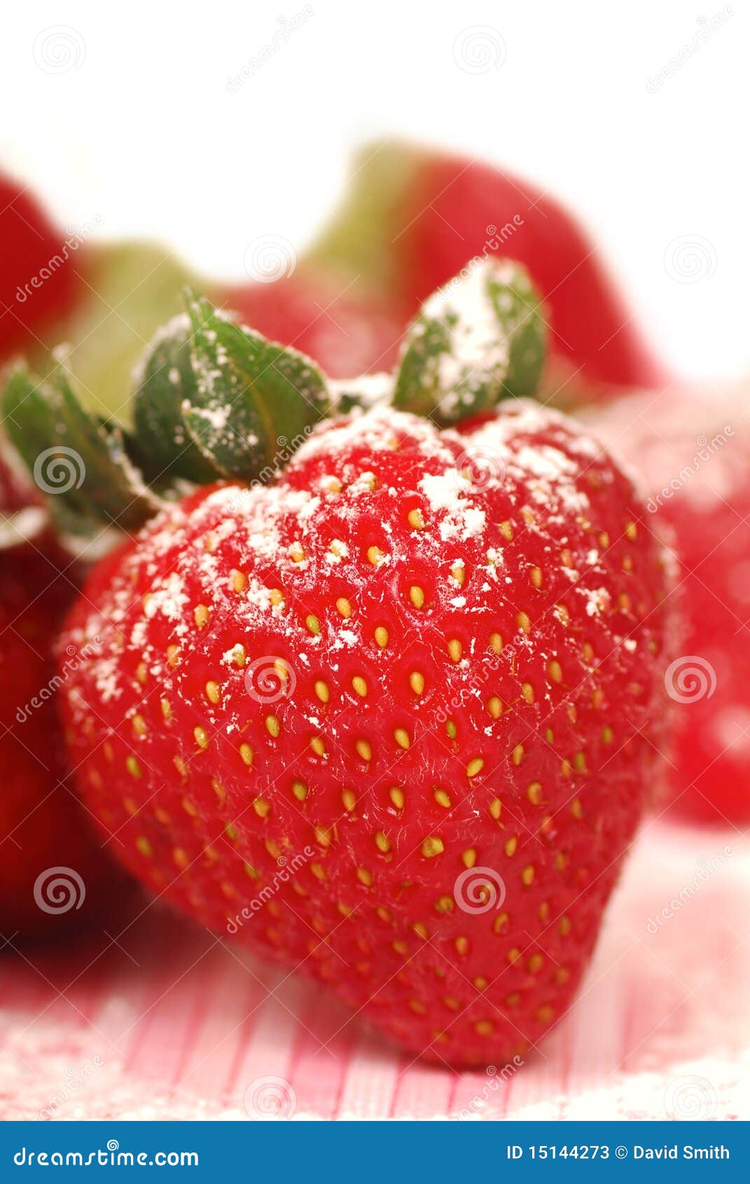 Fresh Strawberry with Powdered Sugar Stock Image Image of dessert