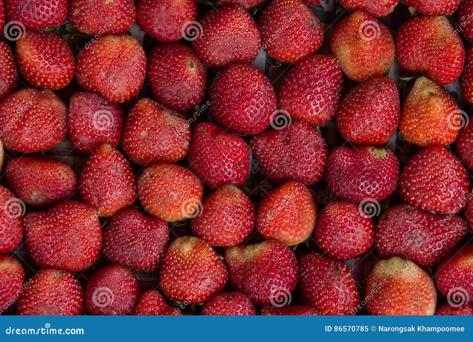 fresh strawberry ready for sale.