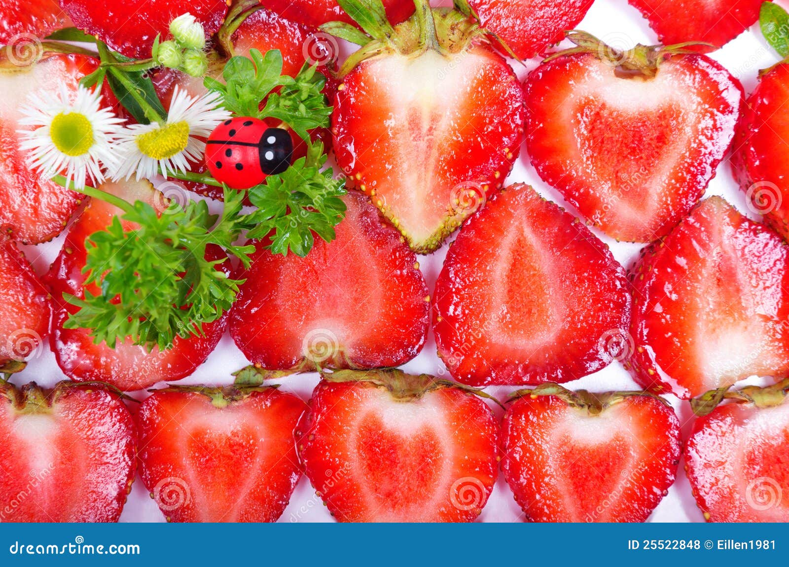 Fresh Strawberry Slices and Ladybugs Stock Photo Image of plant