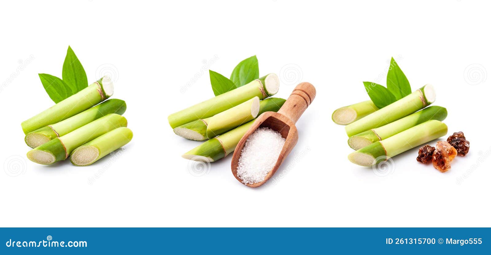 Fresh Sugar Cane with Leaves Isolated on White Background Stock Photo