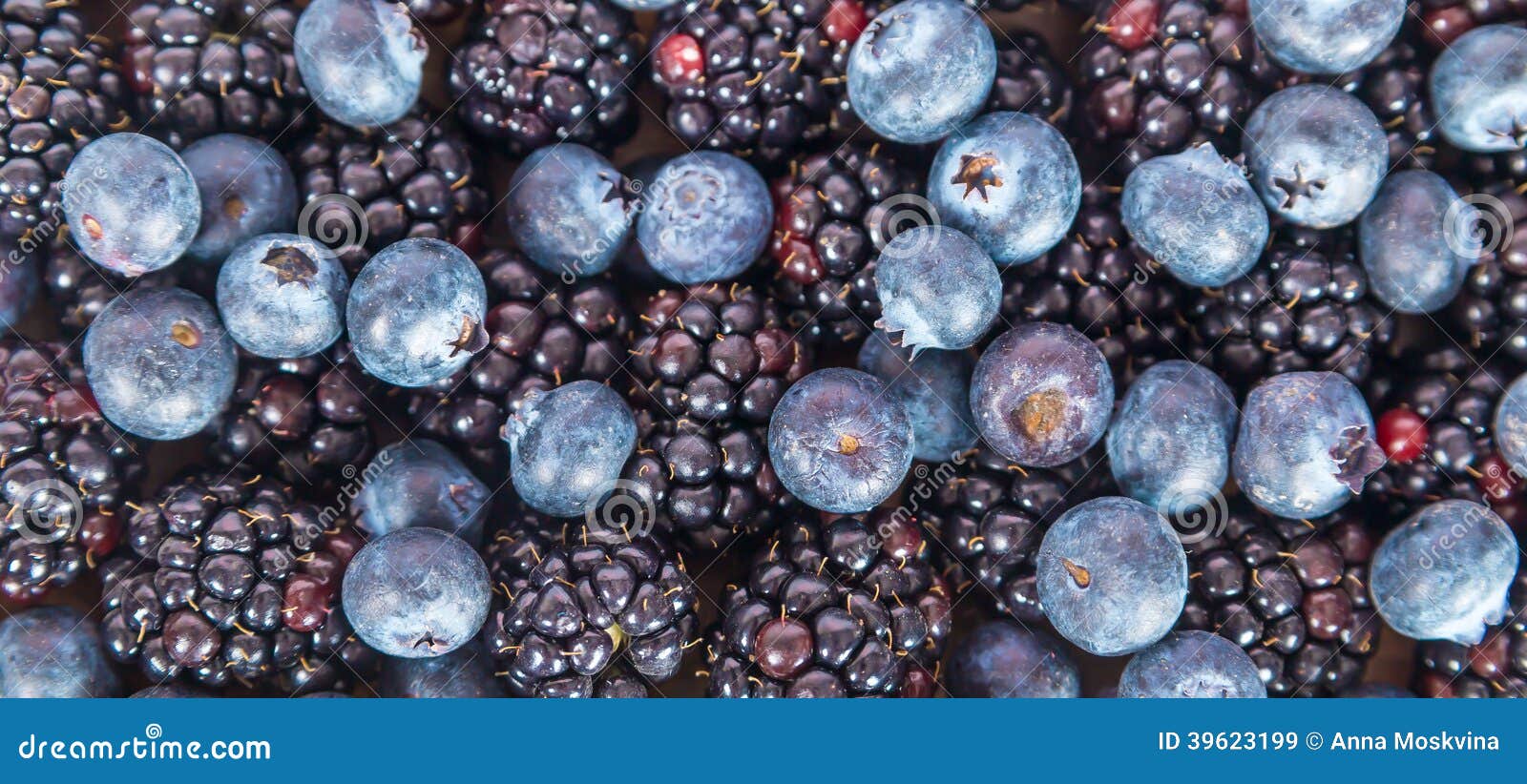 Fresh Sweet Blueberries and Blackberries Stock Image Image of color