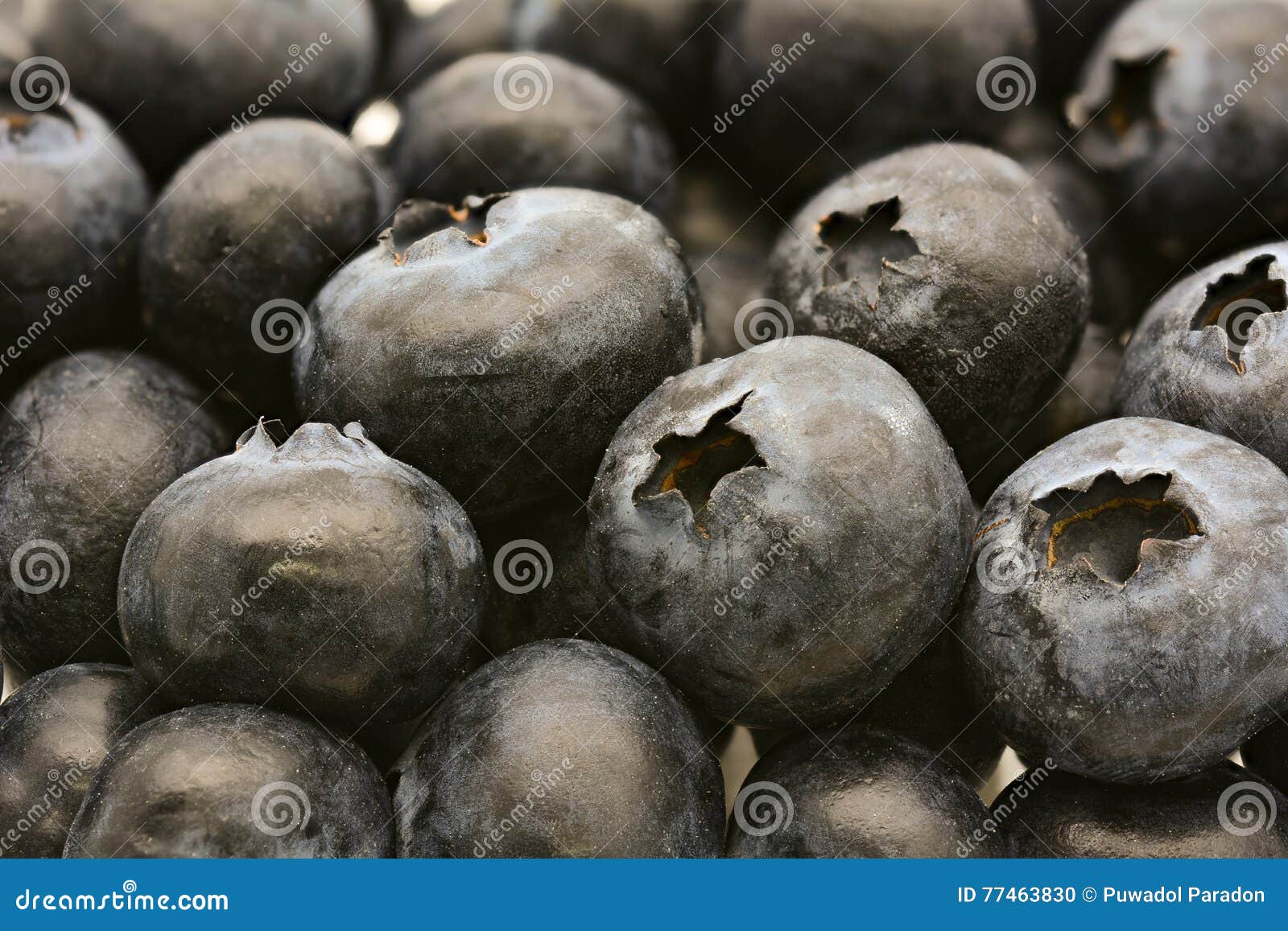 Fresh sweet blueberries stock photo. Image of sweet, blue 77463830