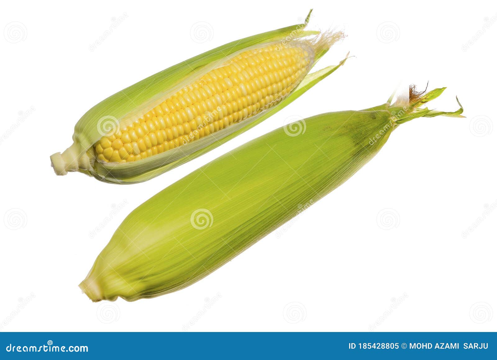 Fresh sweet corn stock image. Image of sweet, corn, agriculture 185428805