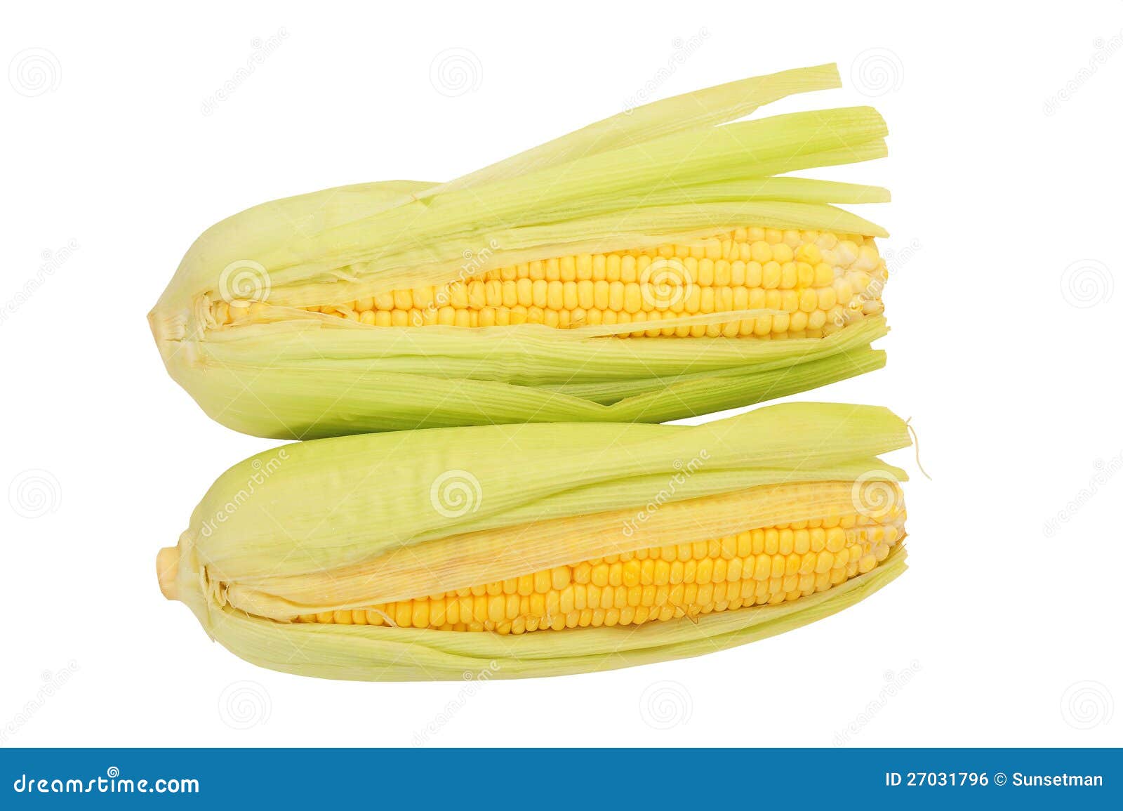 Fresh Sweet Corns Isolated On White Background