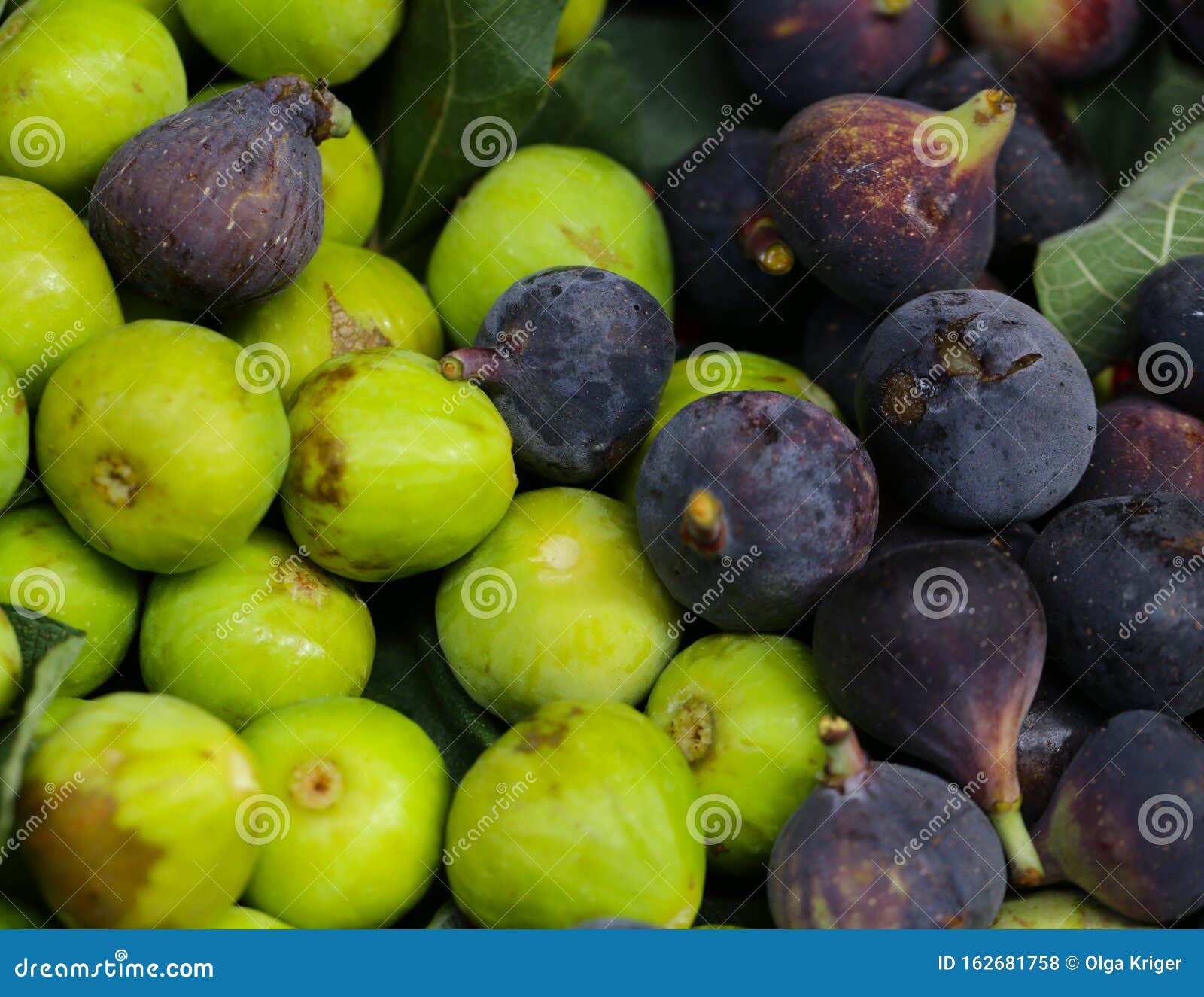 Green and purple figs stock photo. Image of slice, nature 162681758