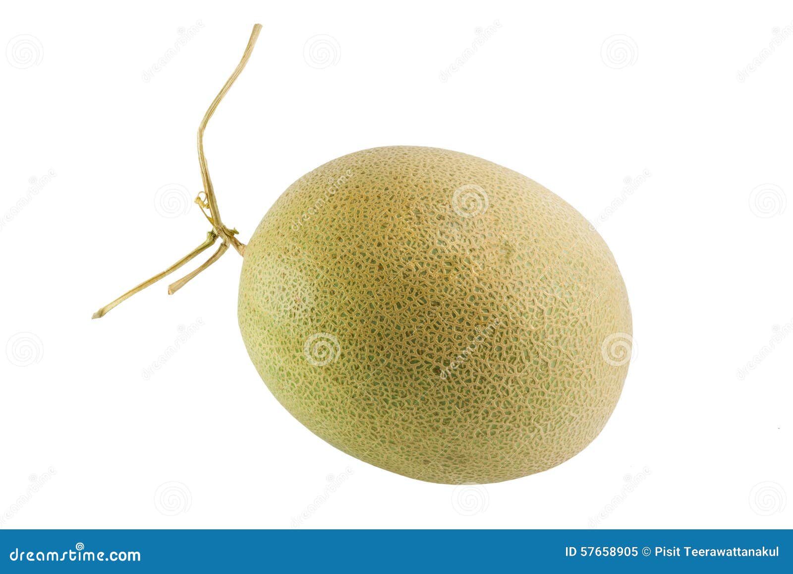 Fresh and Sweet Melon Isolated Stock Image Image of natural