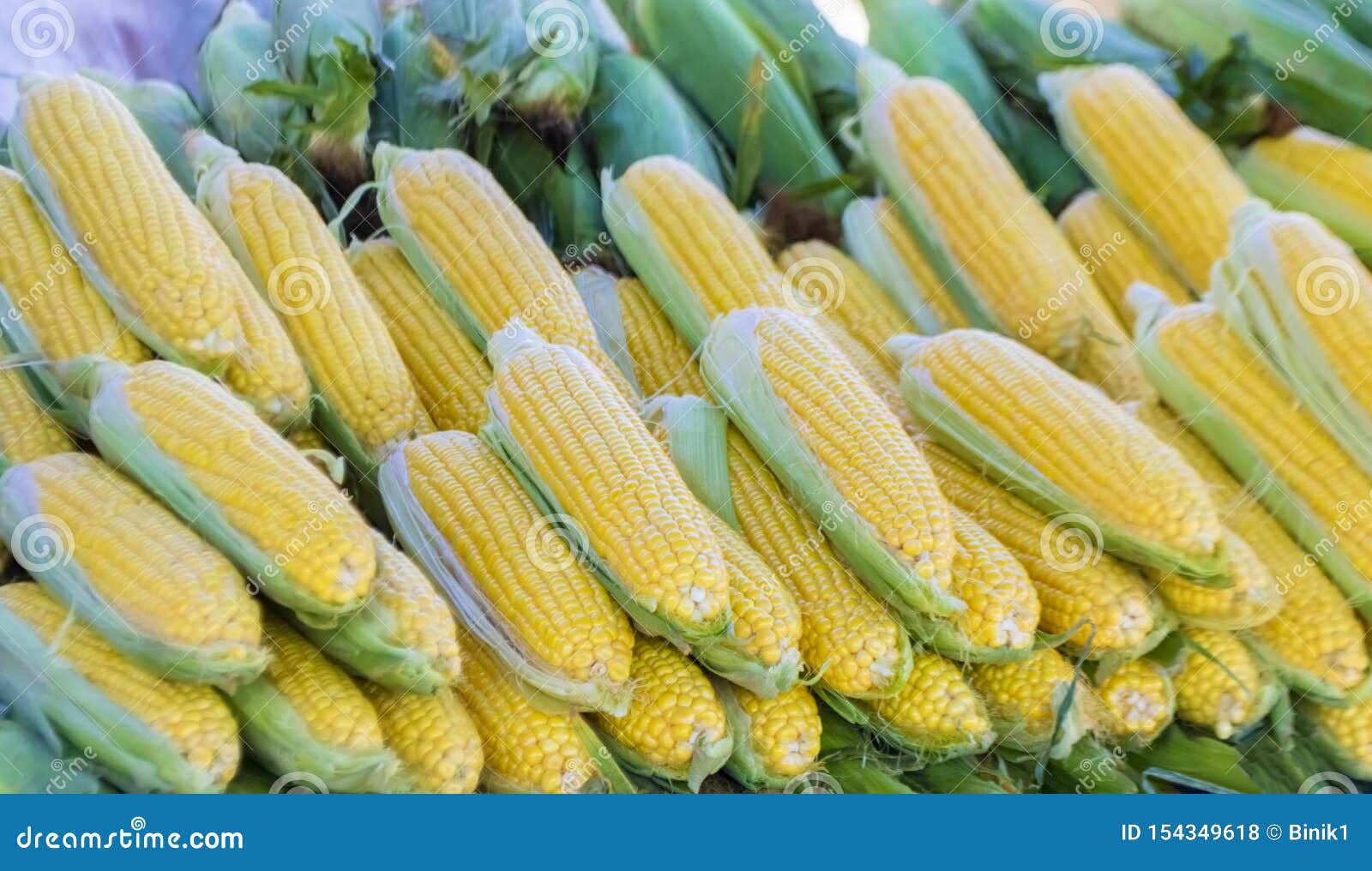 Fresh Sweet Raw Corns, Closeup, Top View Stock Photo Image of natural