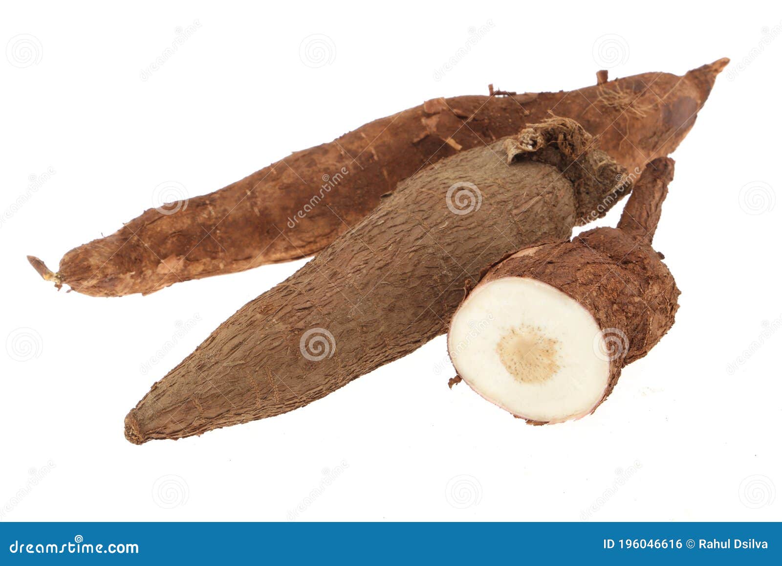 Fresh Tapioca Roots or Cassava Roots Isolated on a White Background