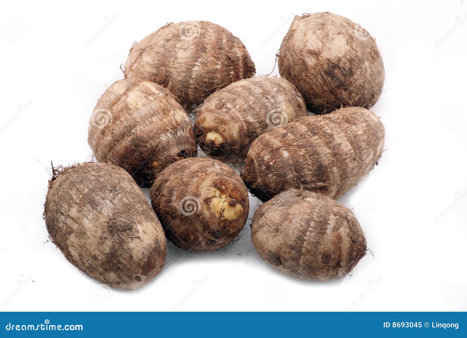 Fresh taros stock image. Image of famous, plant, agriculture 8693045