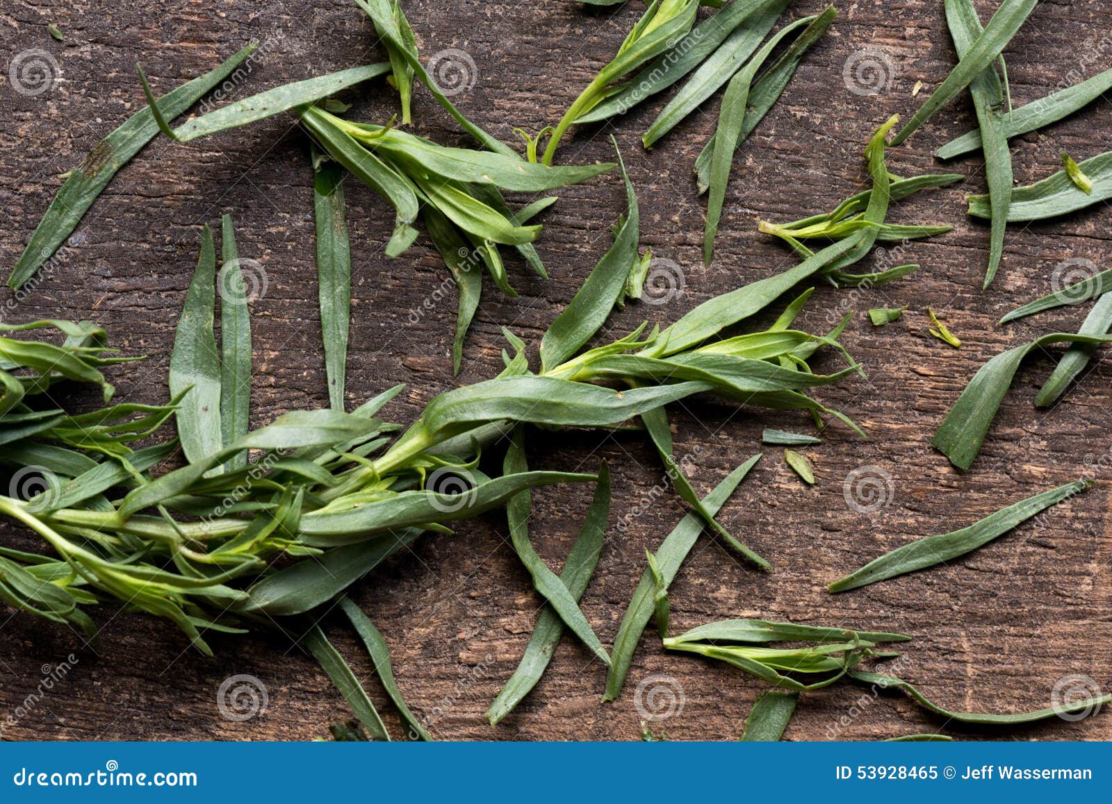 Fresh Tarragon stock image. Image of aromatic, wood, cooking 53928465