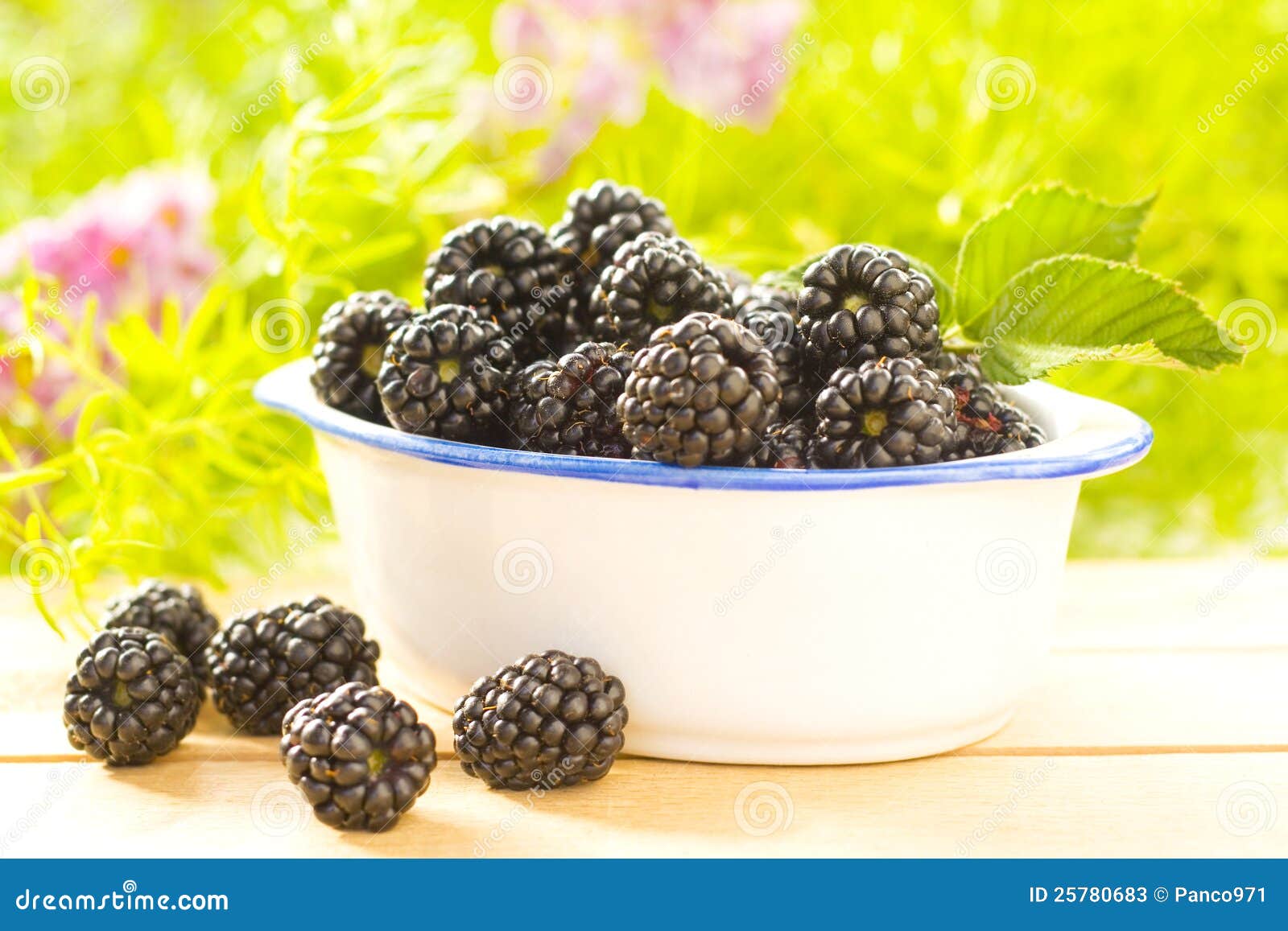 Fresh and Tasty Blackberries Stock Image Image of harvest, nutrition