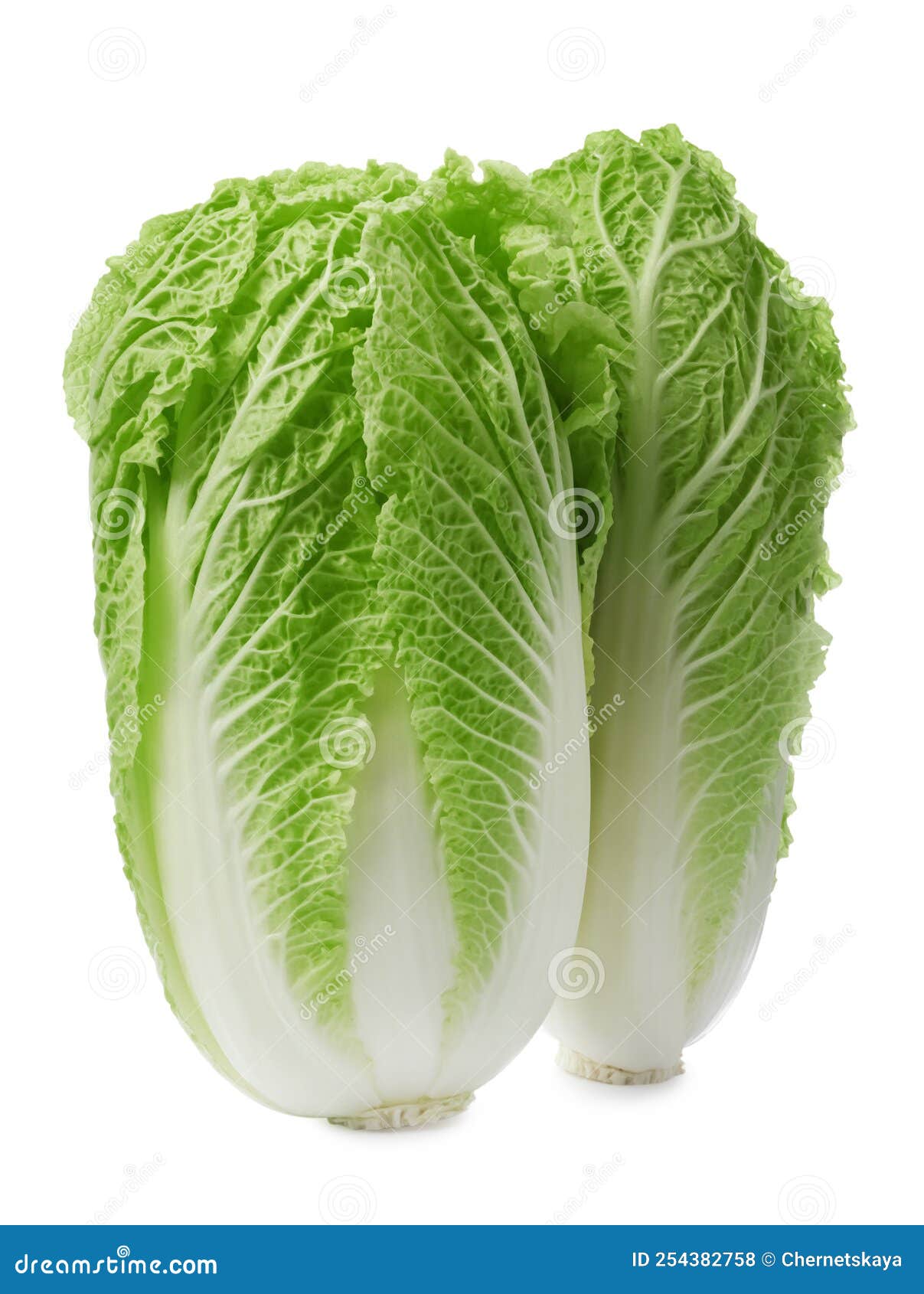 Fresh Tasty Chinese Cabbages on Background Stock Photo Image of