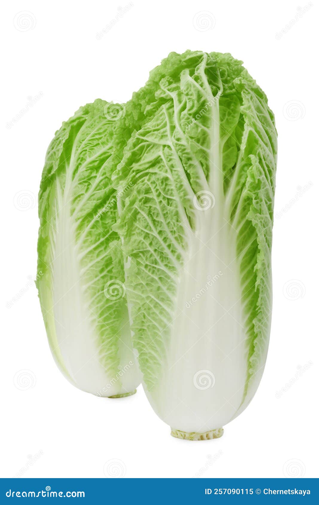 Fresh Tasty Chinese Cabbages on White Background Stock Image Image of