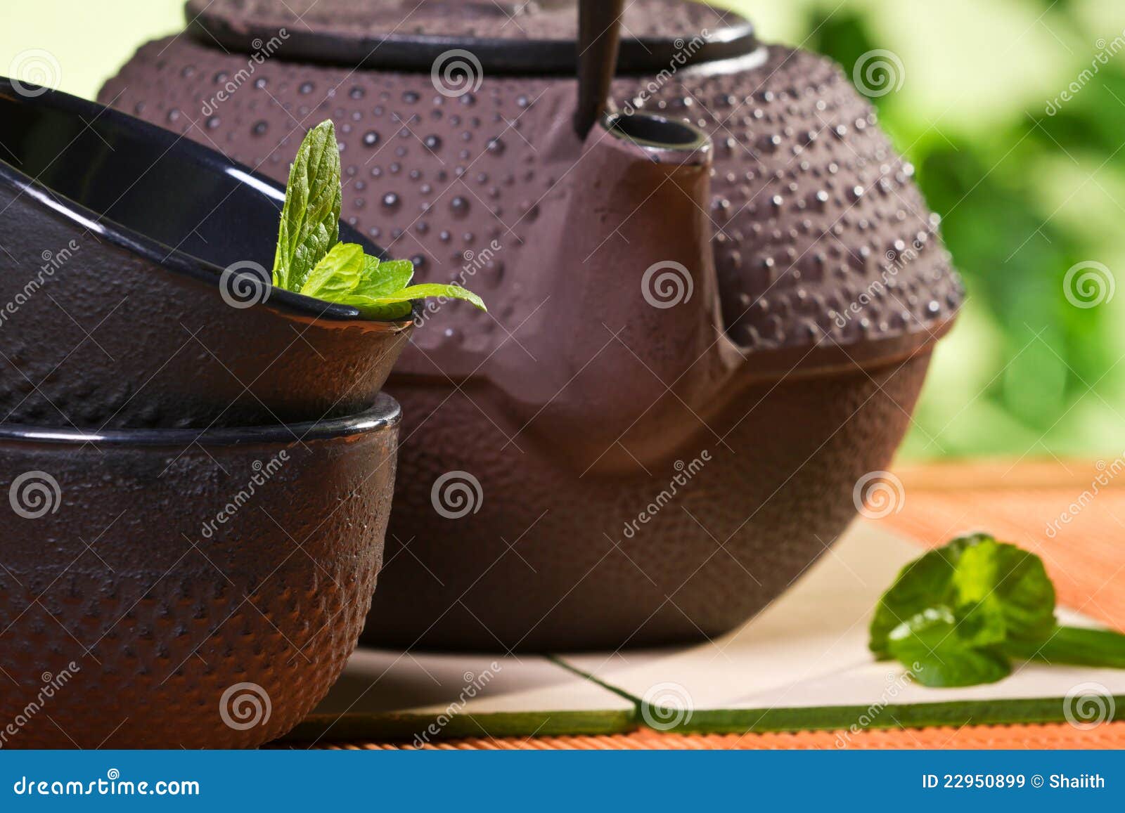 Fresh Tea Leaves and Kettle in the Garden Stock Image Image of mamboo, fresh 22950899