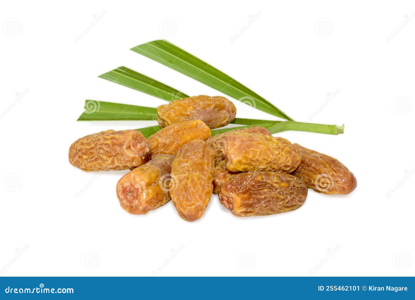 Sweet dried dates stock image. Image of detail, traditional 255462101