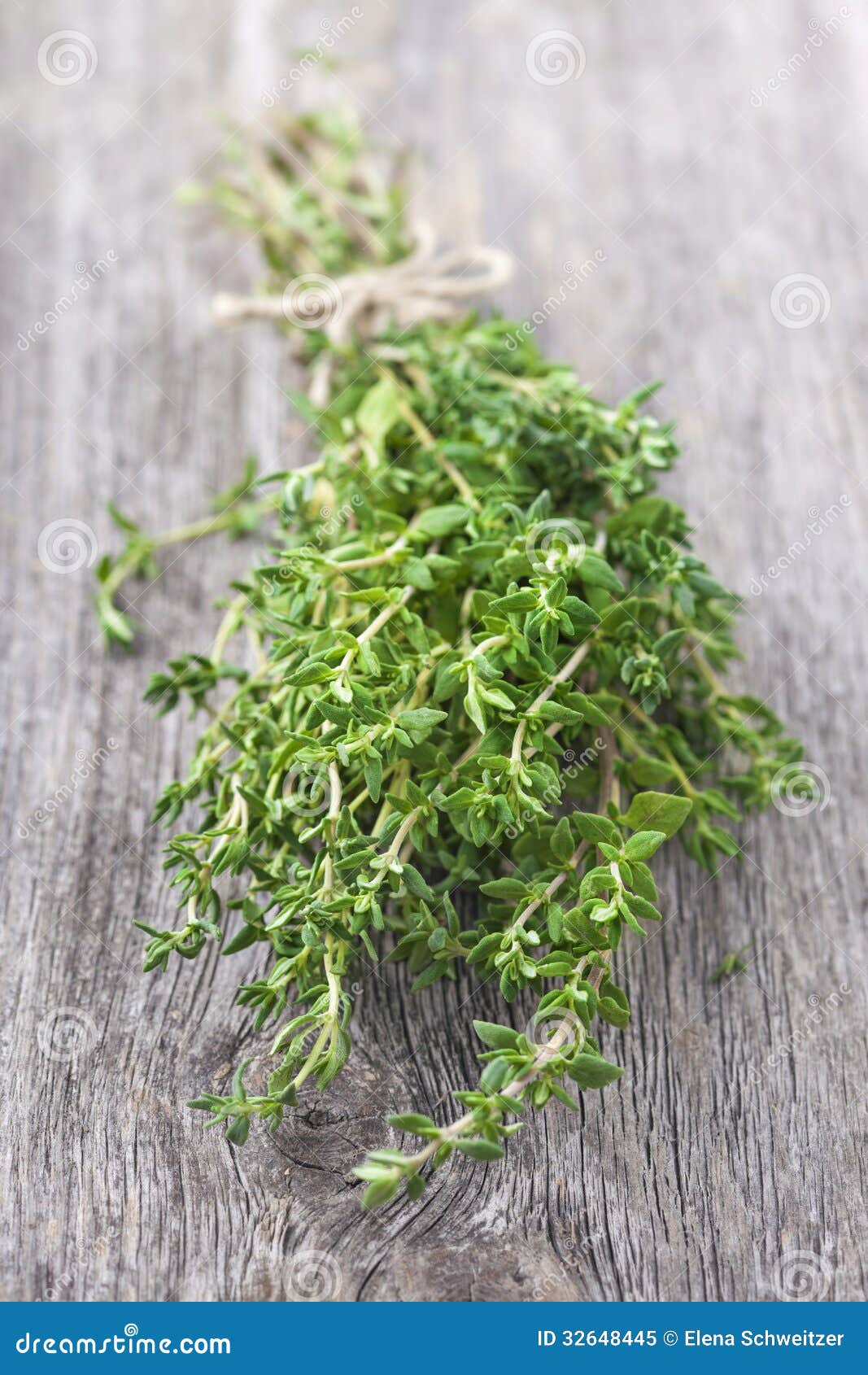 Fresh thyme stock image. Image of healthy, wooden, fresh 32648445