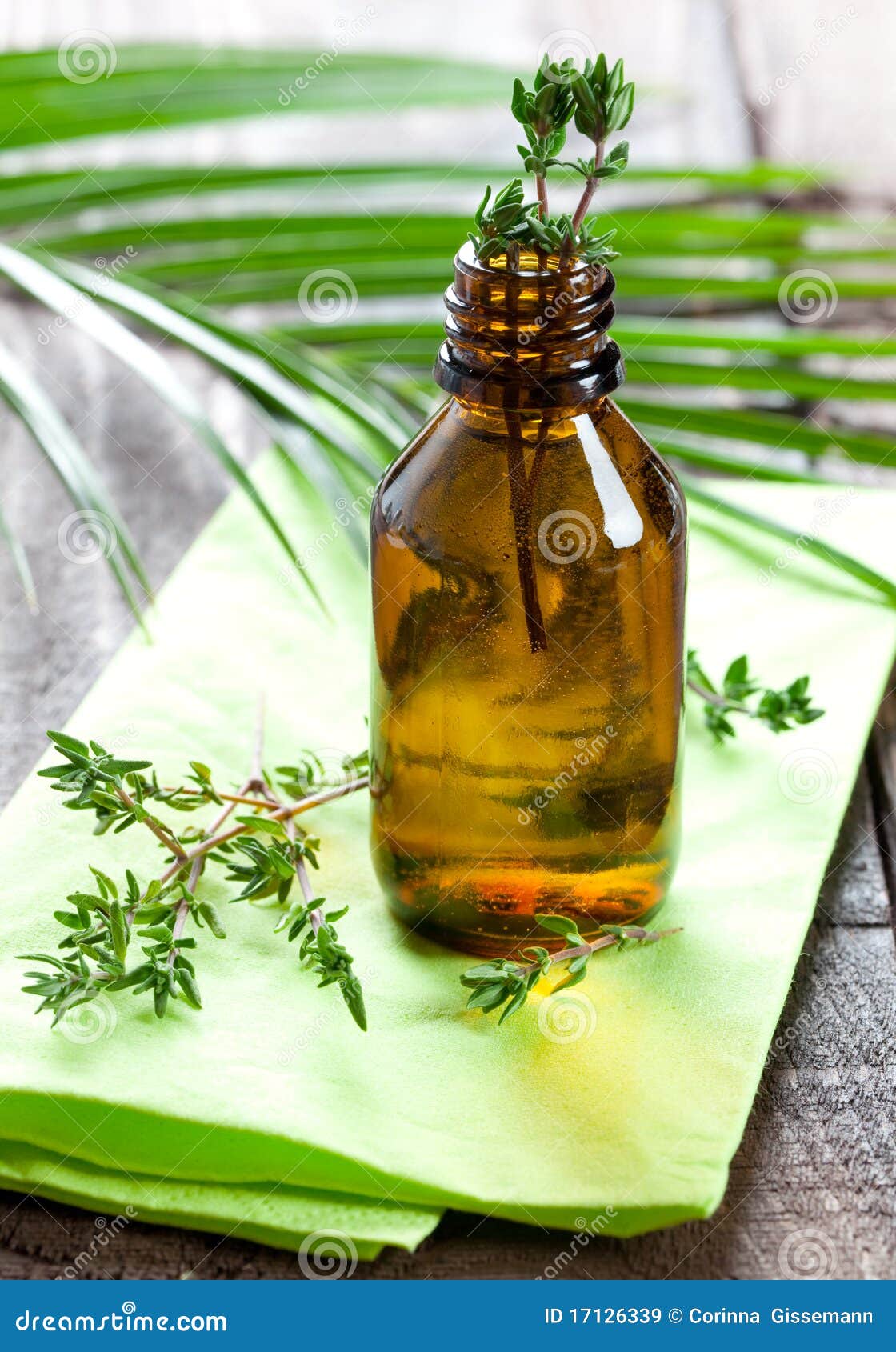 Fresh thyme oil stock image. Image of green, homeopathy 17126339