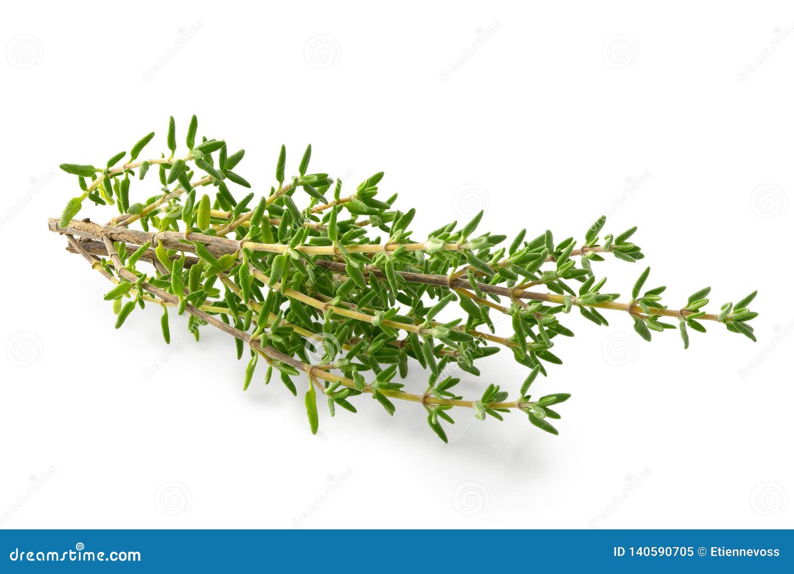 Fresh Thyme Sprigs Isolated on White Stock Image Image of ingredient