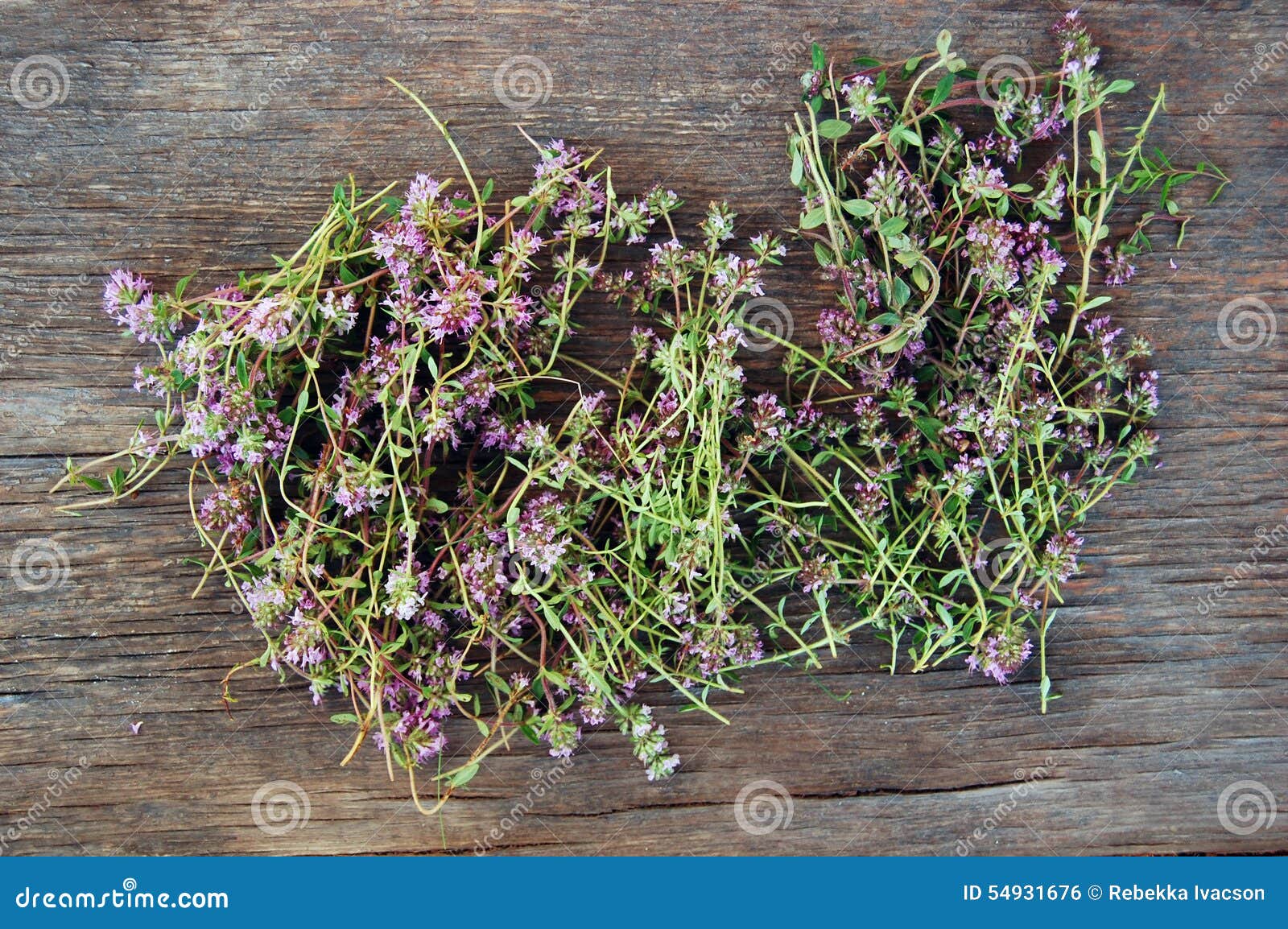 Fresh thyme on wooden table