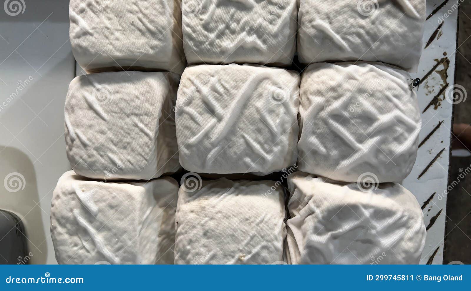 Fresh Tofu Skin and Blocks of Raw Silken Tofu in Stainless Tray in
