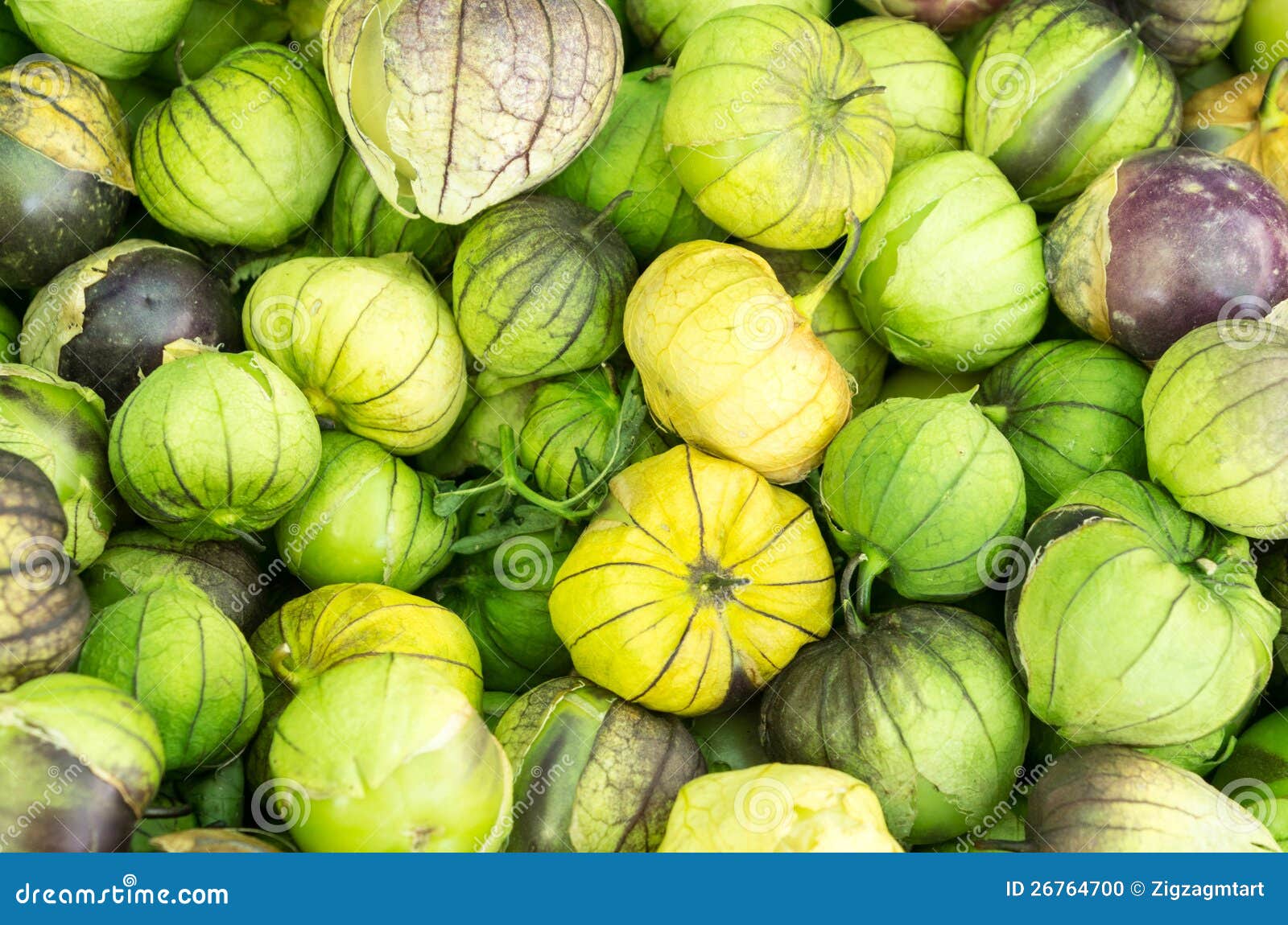 Fresh Tomatillos at the Market Stock Photo Image of mexican, nutrition 26764700
