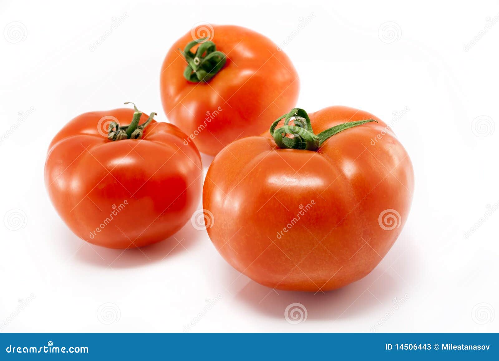 Fresh tomatoes stock image. Image of tomato, healthy 14506443