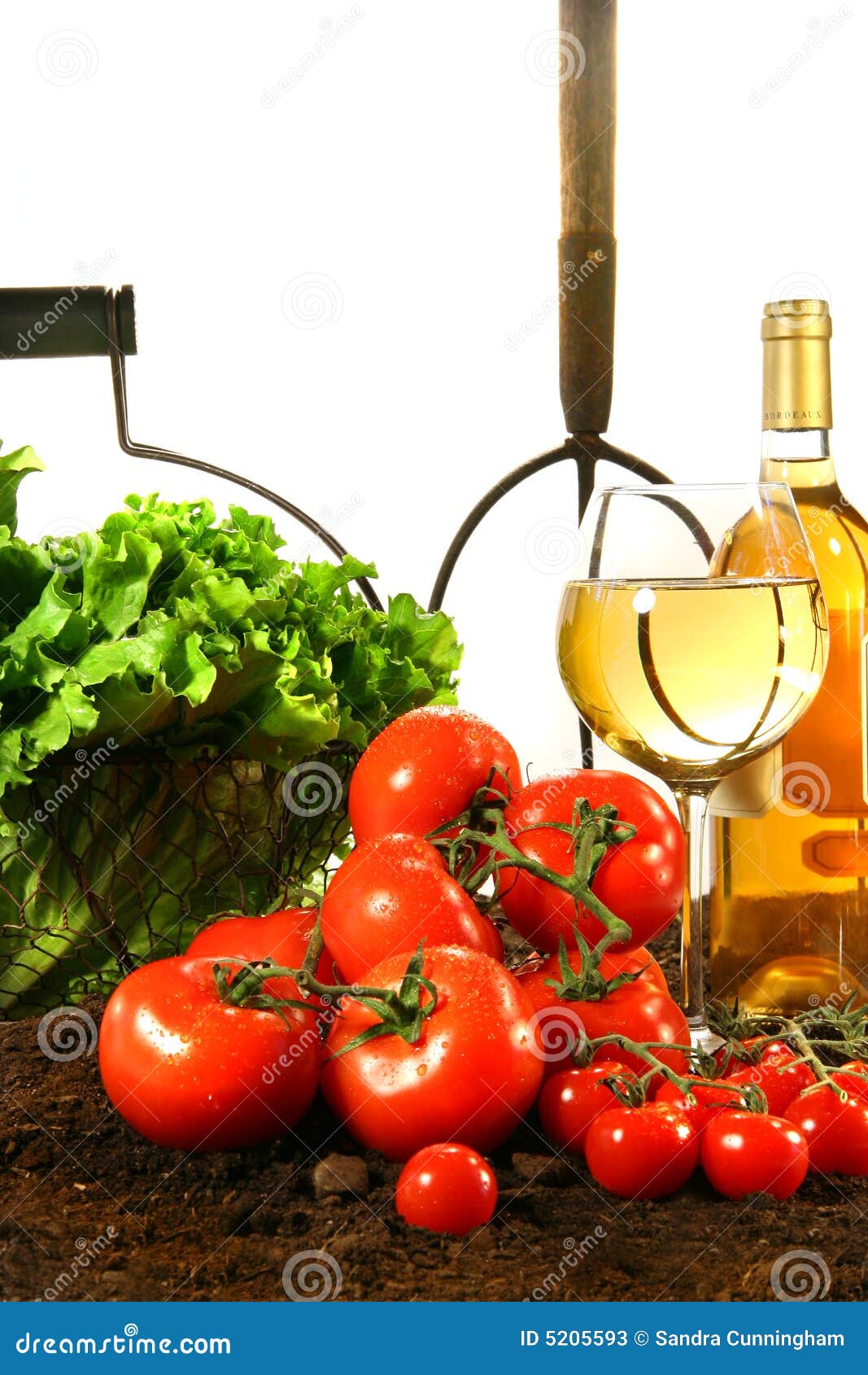 Fresh Tomatoes, Lettuce and Wine Stock Image Image of drink