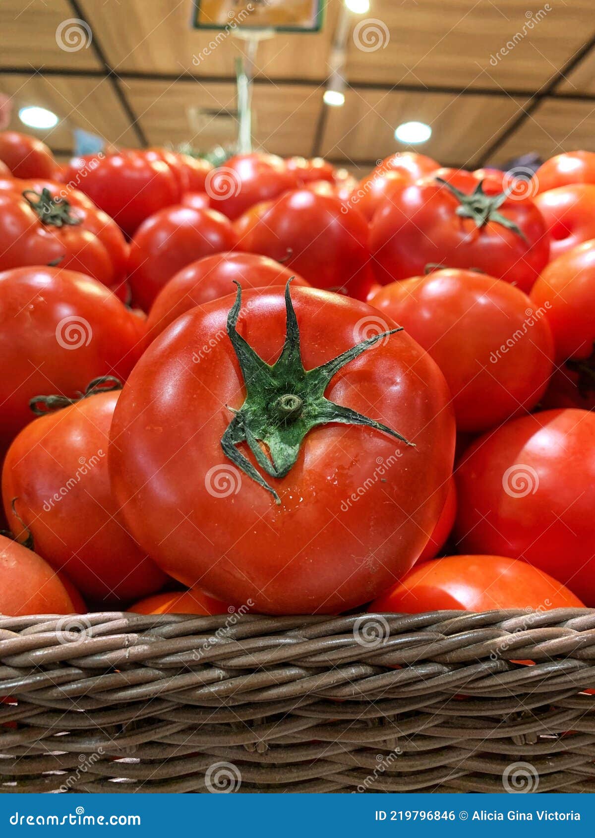 Fresh Tomatoes Picked Everyday Stock Photo Image of tomatoes