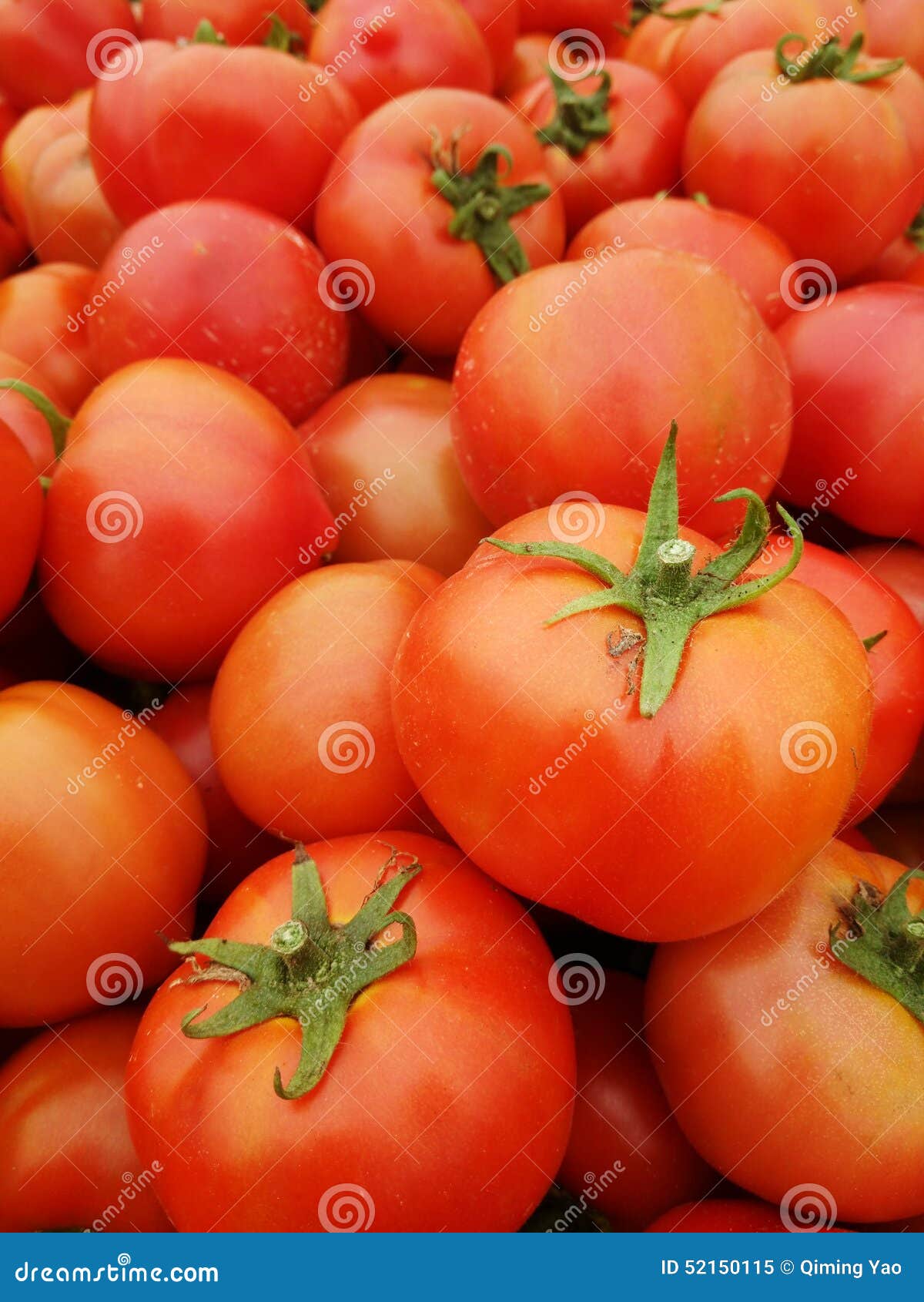 fresh tomatoes