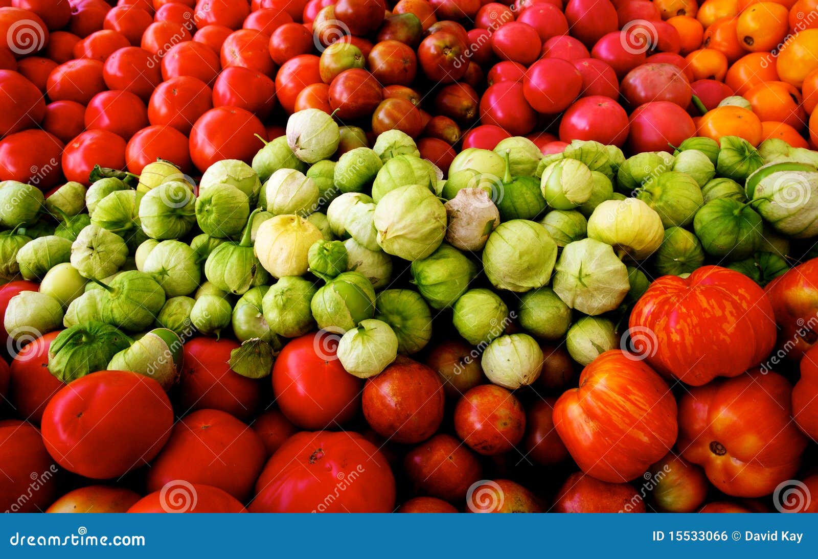Fresh Tomatoes and Tomatillos Stock Photo Image of market, organic