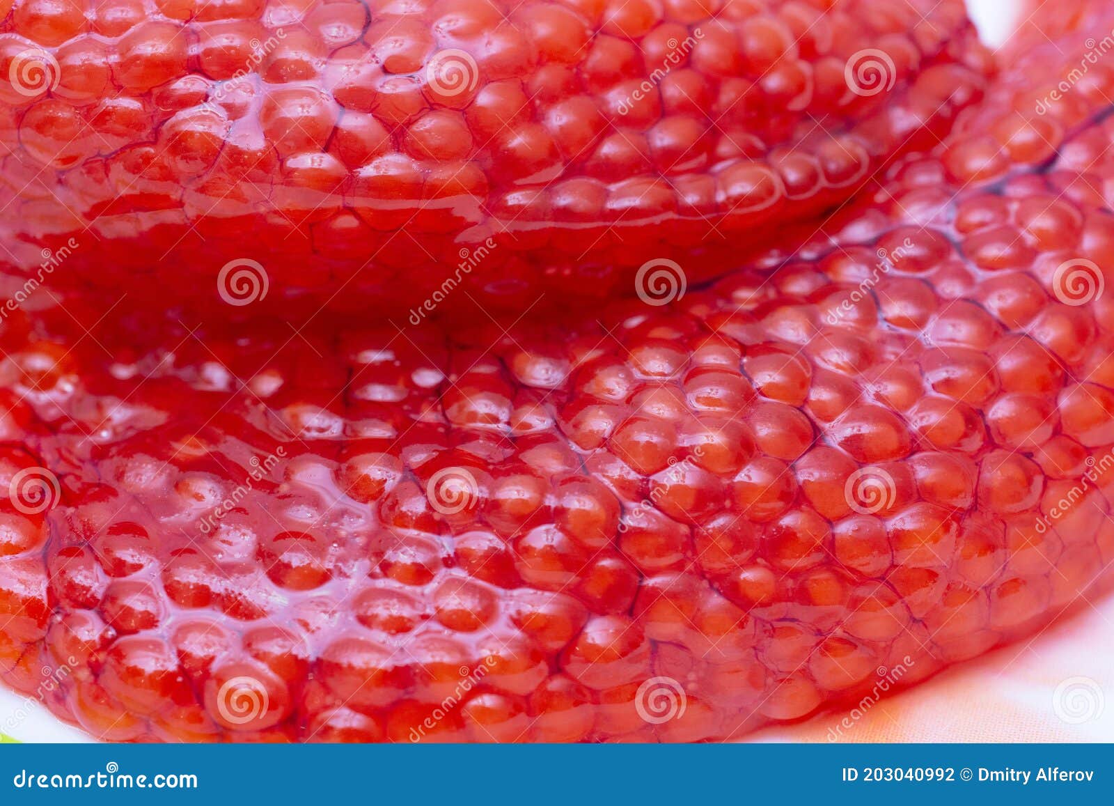 Fresh Trout Caviar, Just Removed from Fish Stock Photo Image of blur