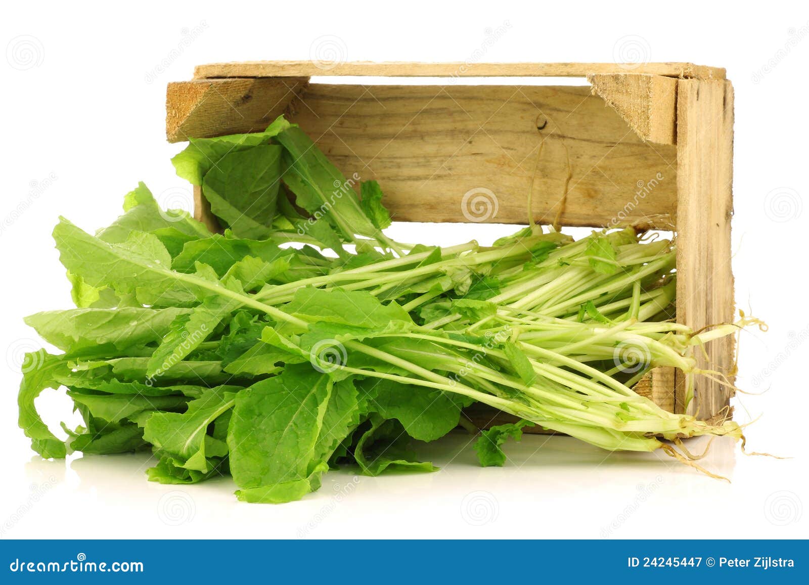 Fresh Turnip Tops (turnip Greens) Stock Image Image of turnip, recipe