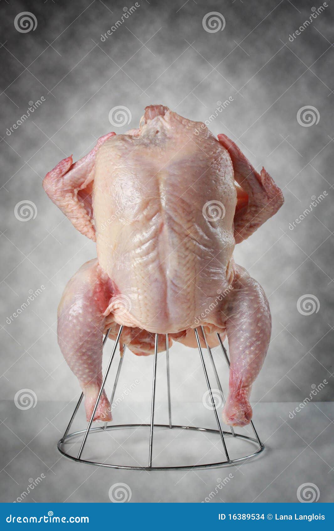 fresh uncooked chicken