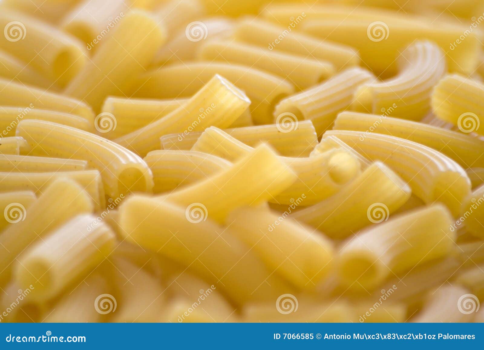 Fresh Uncooked Raw Italian Pasta Stock Image Image of carbohydrate
