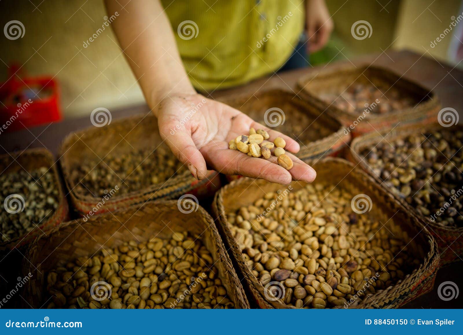 Fresh Unroasted Coffee Beans Stock Photo Image of group, heap 88450150