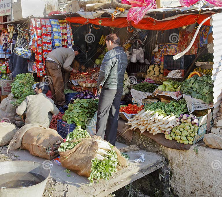 Fresh Vegetable Stall Jammu Kashmir Editorial Image Image of india