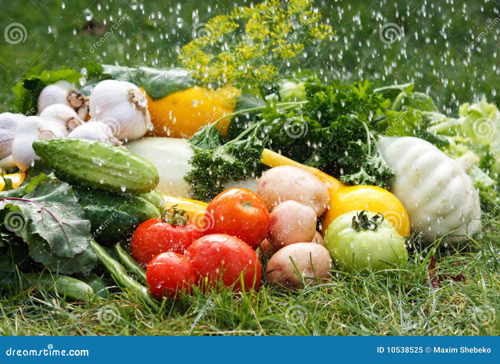 Fresh vegetables stock image. Image of pattypan, organic 10538525