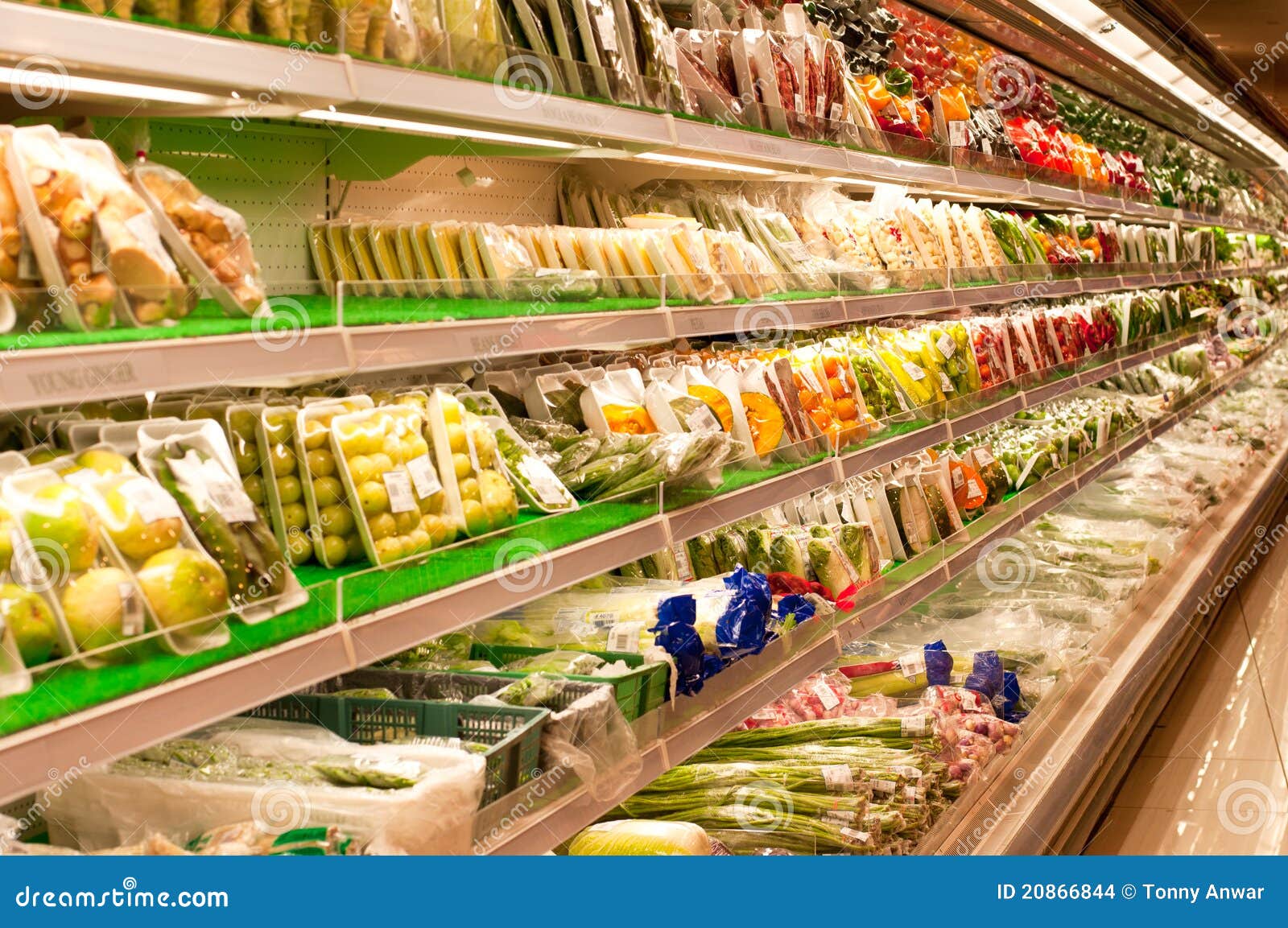 Fresh Vegetables stock photo. Image of refrigeration 20866844