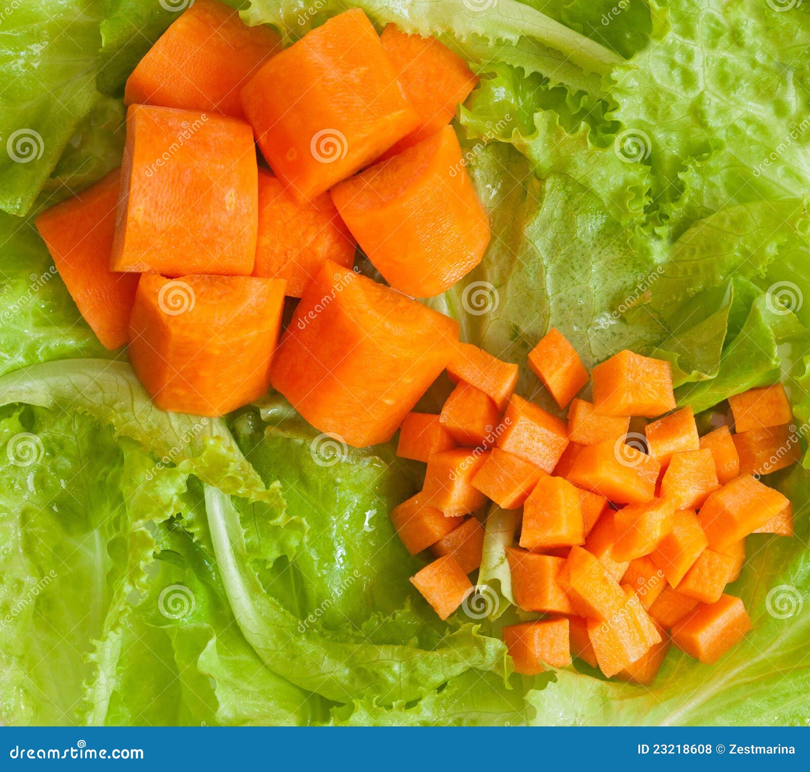 Fresh Vegetables for Breakfast Stock Photo Image of vegetarian