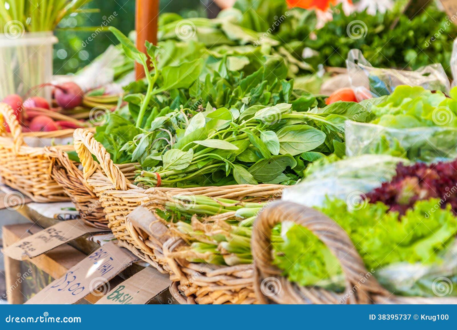 Fresh Vegetables at Local Market Stock Image Image of environment