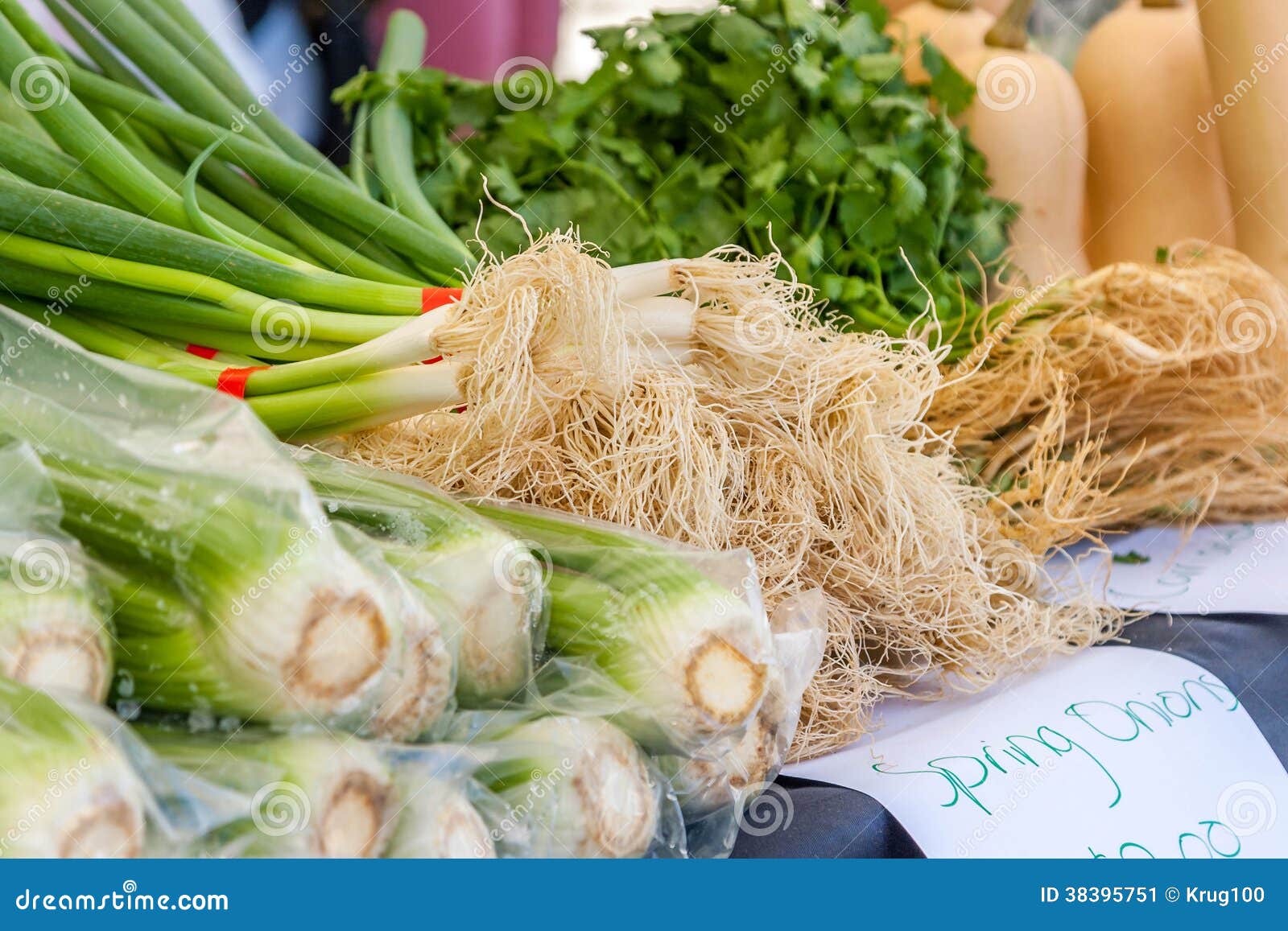 Fresh Vegetables at Local Market Stock Image Image of fresh, green