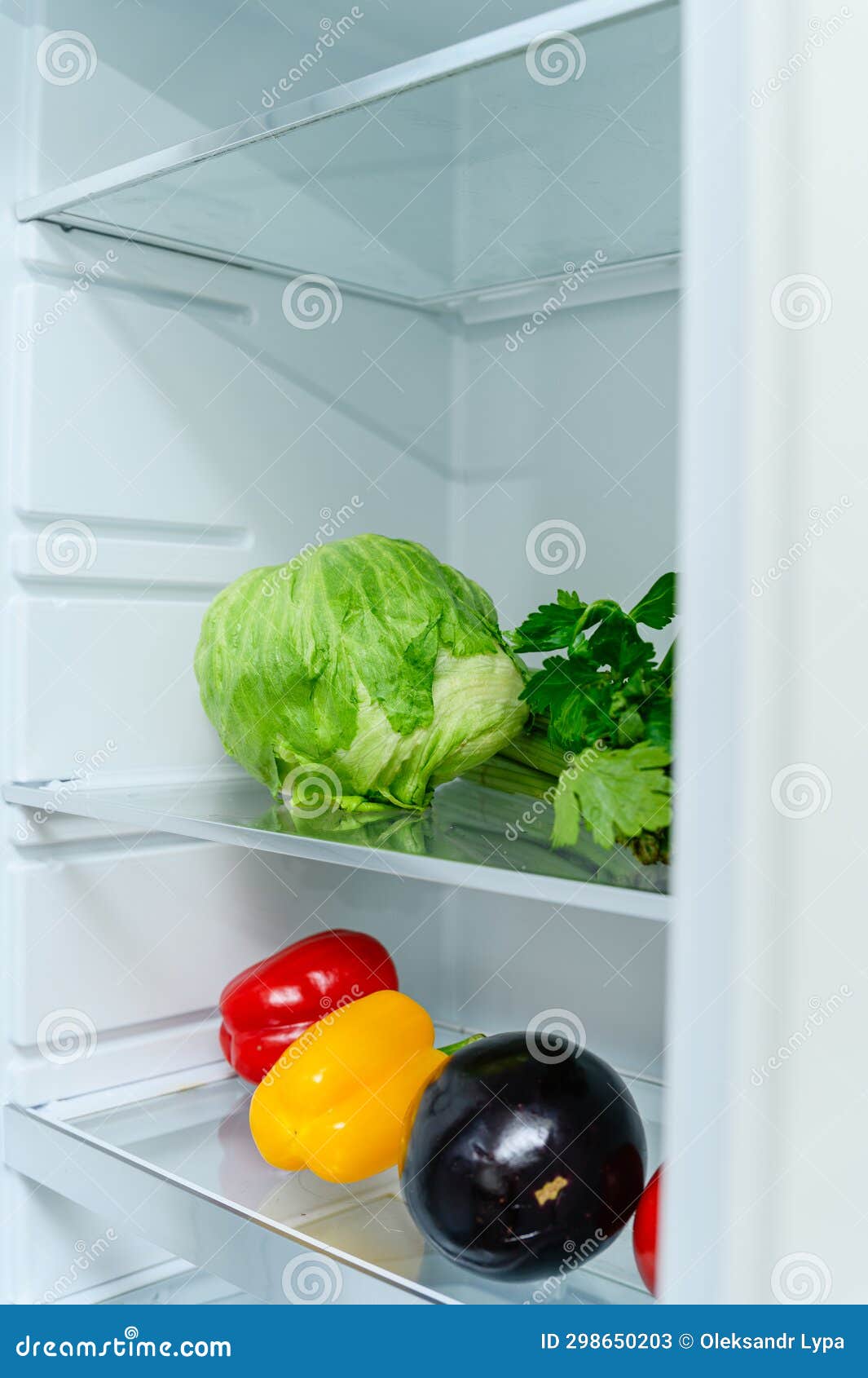 Fresh Vegetables Lying on the Shelf in the Fridge Stock Image Image