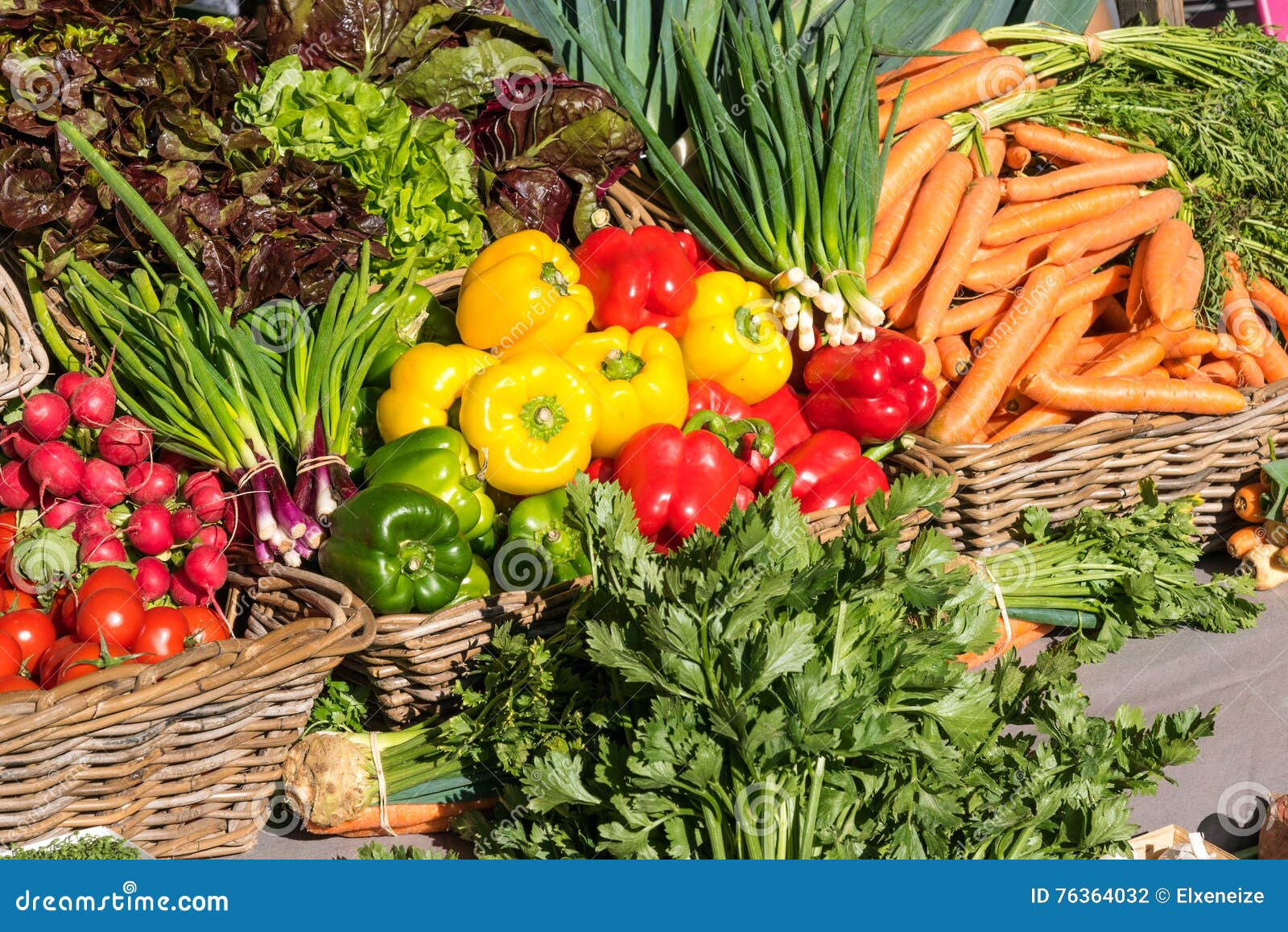 Fresh Vegetables at a Market Stock Photo Image of garden, fresh 76364032