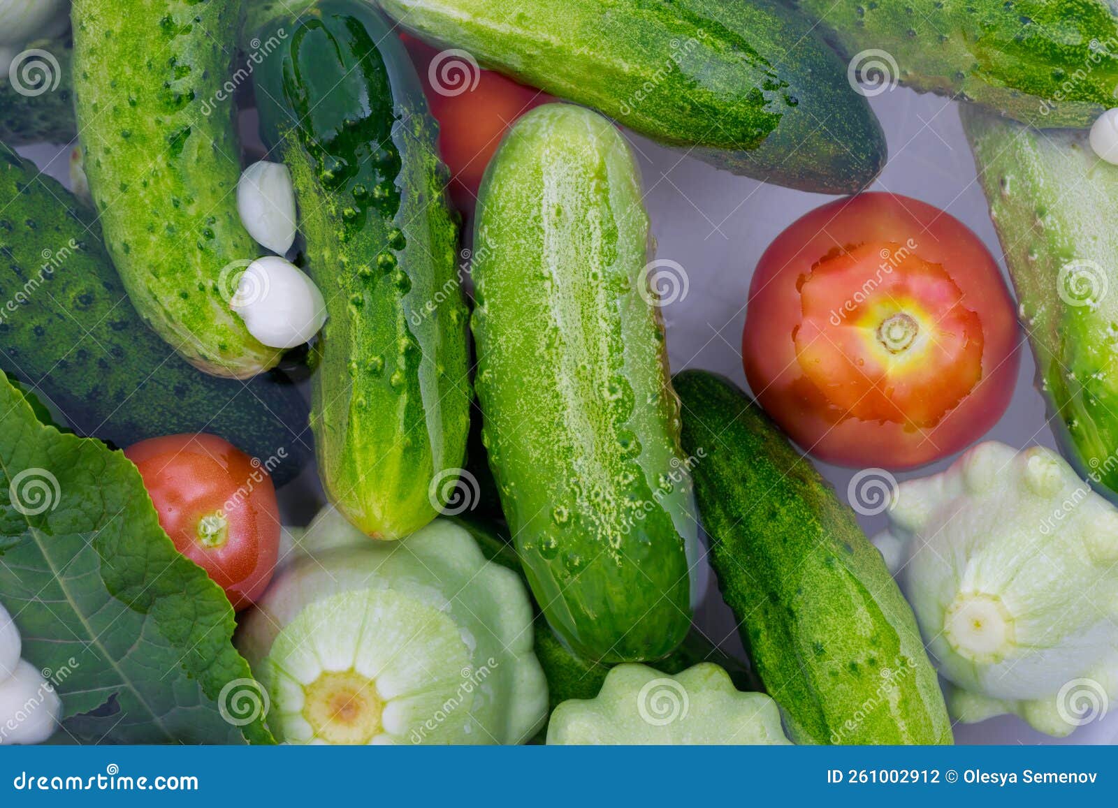 Fresh Vegetables Picked from the Garden for Making Salad. Stock Photo