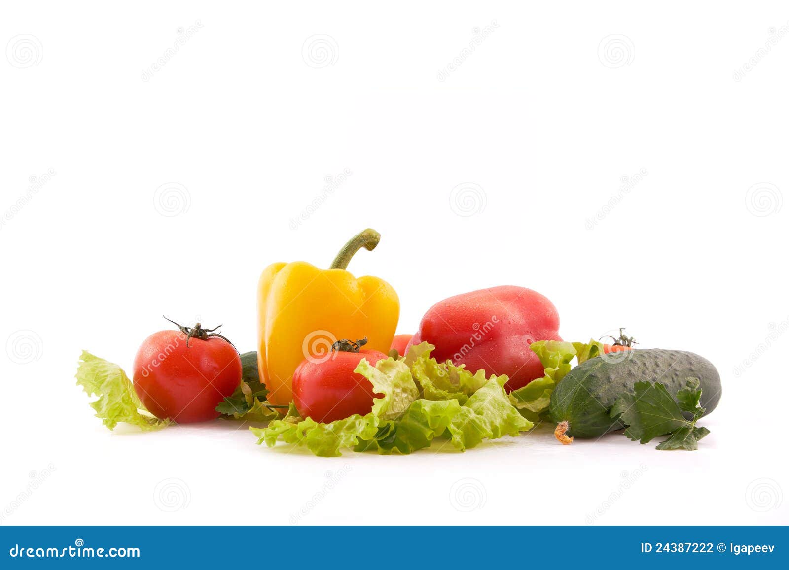 Fresh Vegetables on White Background Stock Photo Image of summer