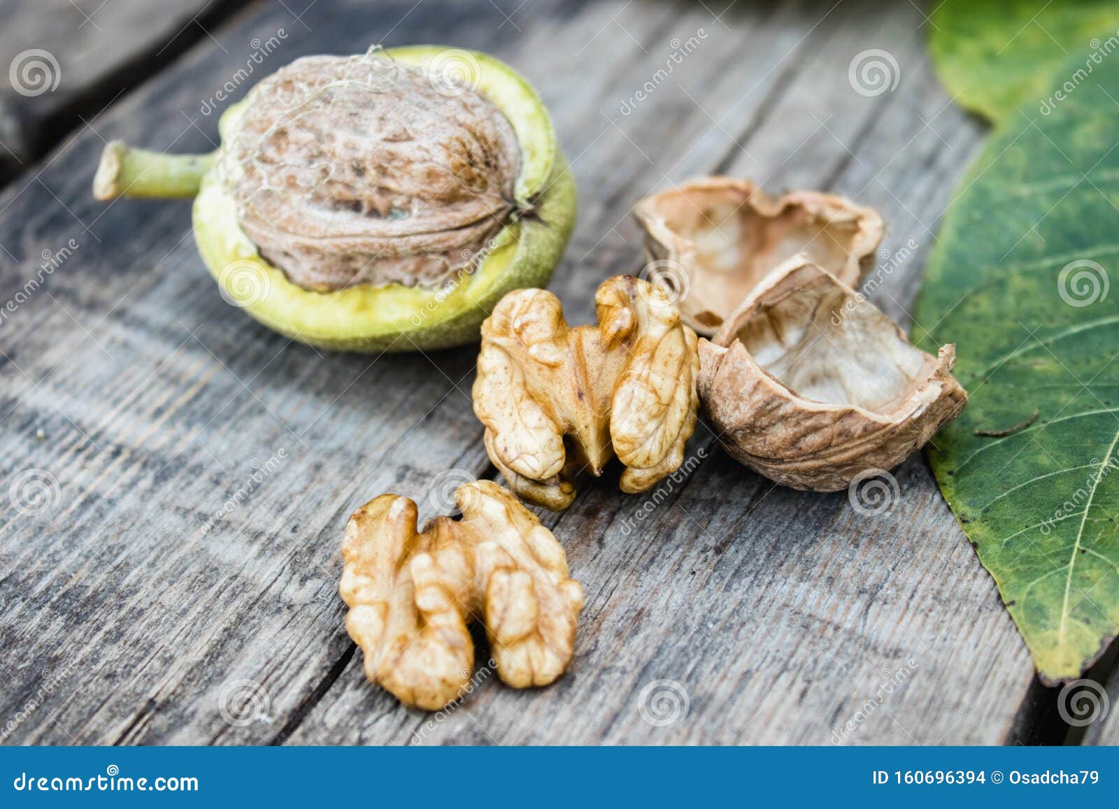 Fresh Walnuts in a Green Shell Near the Walnut Kernel on an Old Wooden